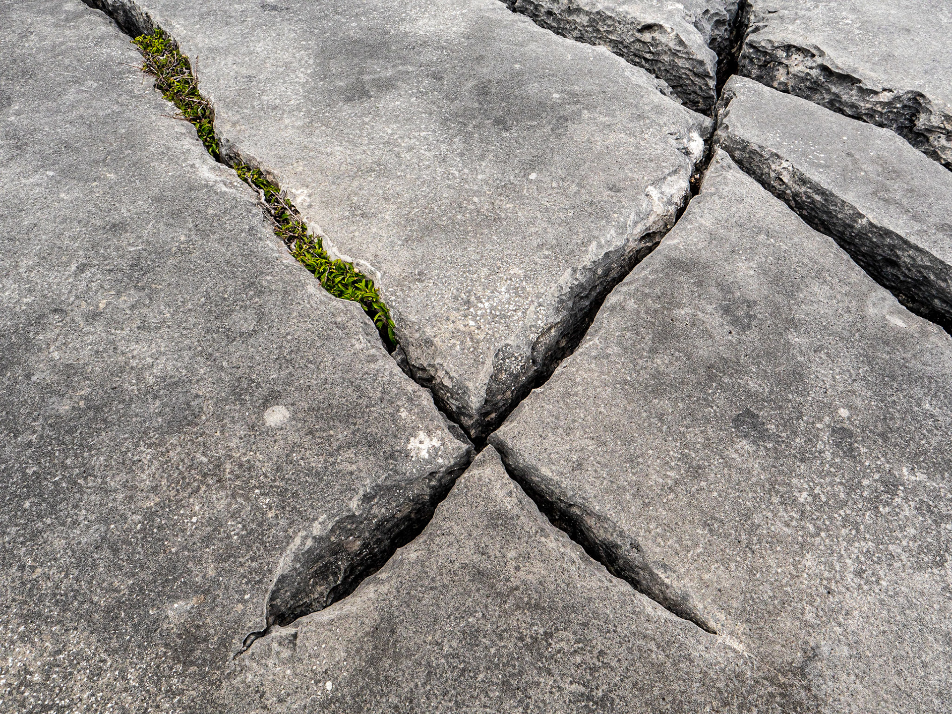 The Burren, south of Fanore, Co Clare, 30 Aug 2023