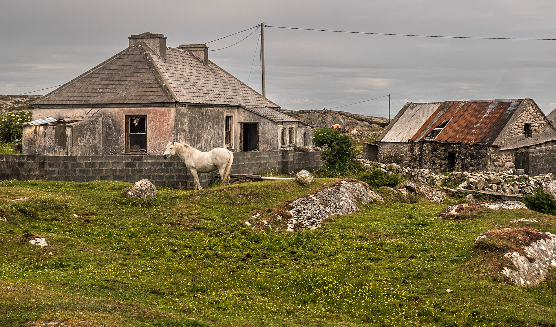 Carraroe Peninsula, Co Galway, 15 Jun 2022