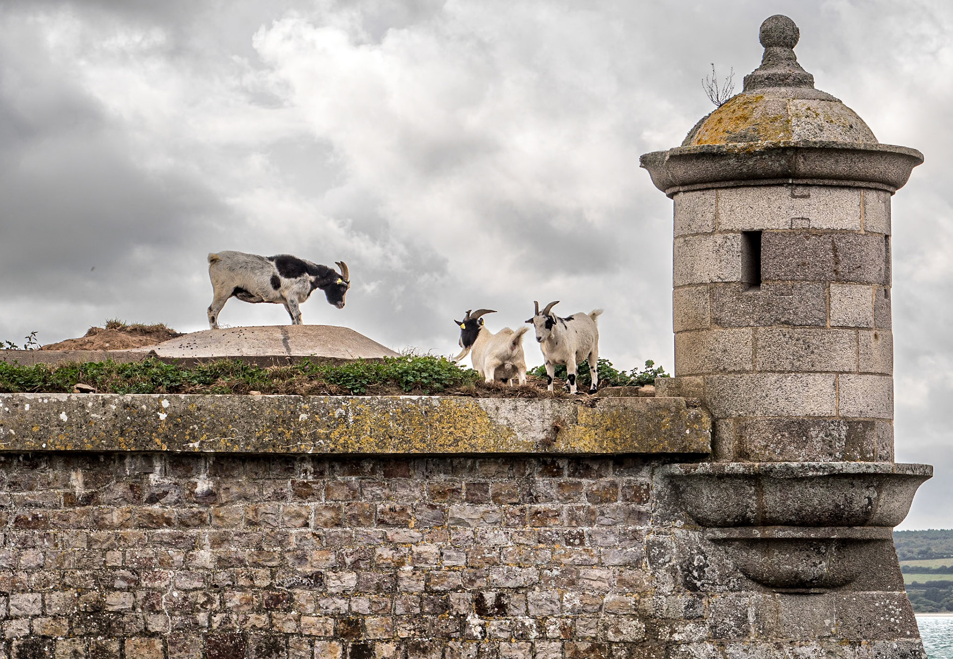 South of Saint-Vaast-la-Hougue, Normandy, 28 Sep 2021
