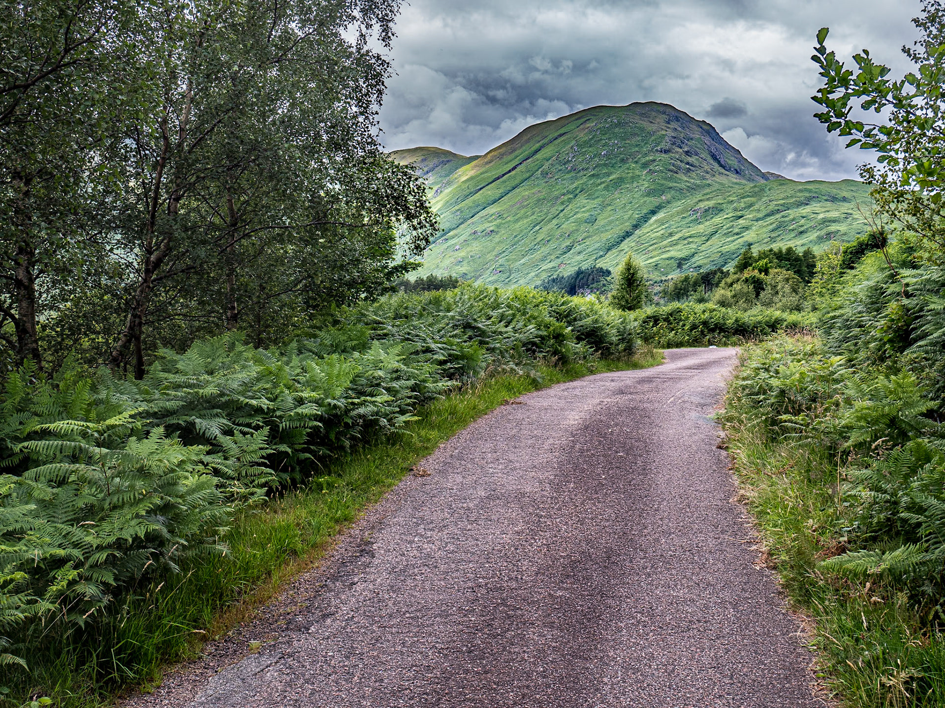 Near Camasnacroise, Scotland, 5 Jul 2023