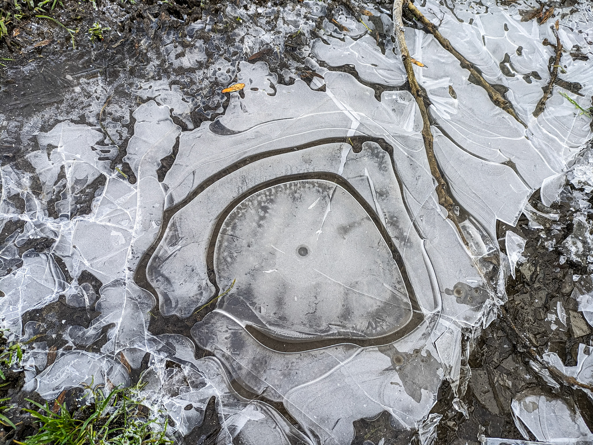 By Digby Bridge, Co Kildare, 1 Dec 2023