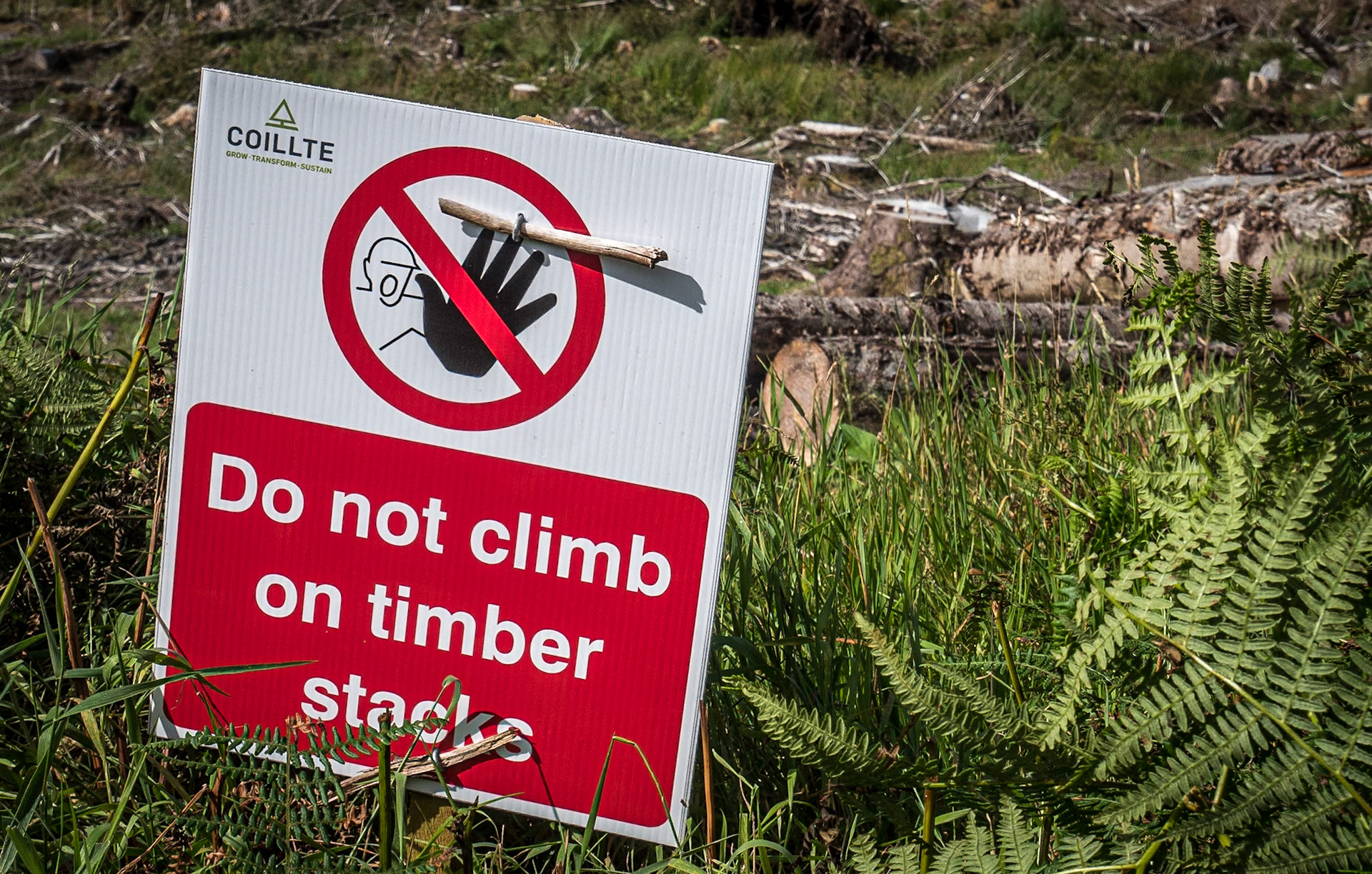 On the Shay Elliott, Co Wicklow, 26 Aug 2020