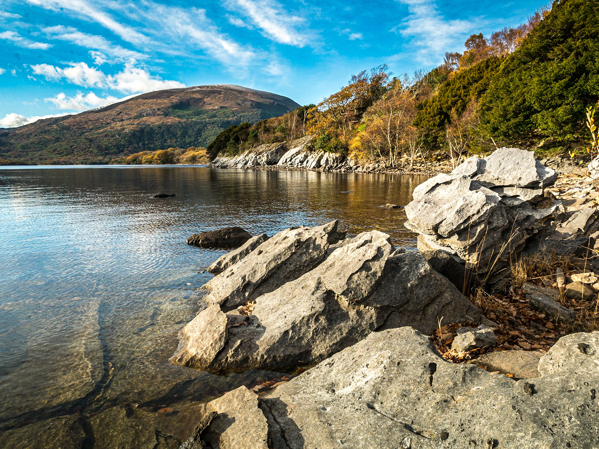 Muckross lake, Killarney, 21 Nov 2016