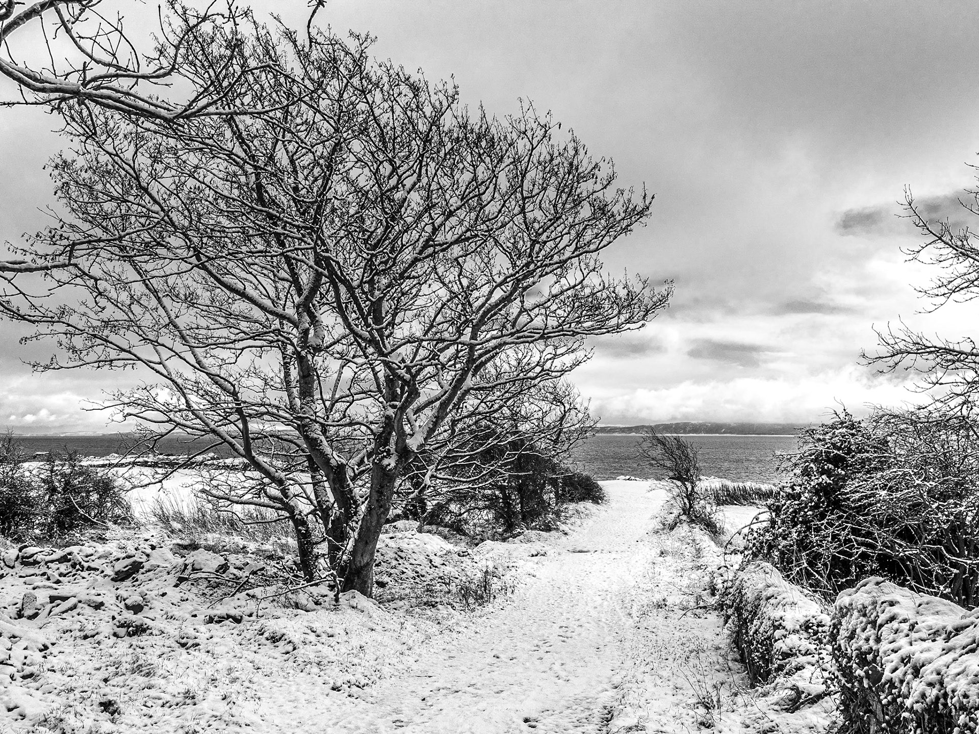 Greencastle, Co Donegal, 17 Jan 2023