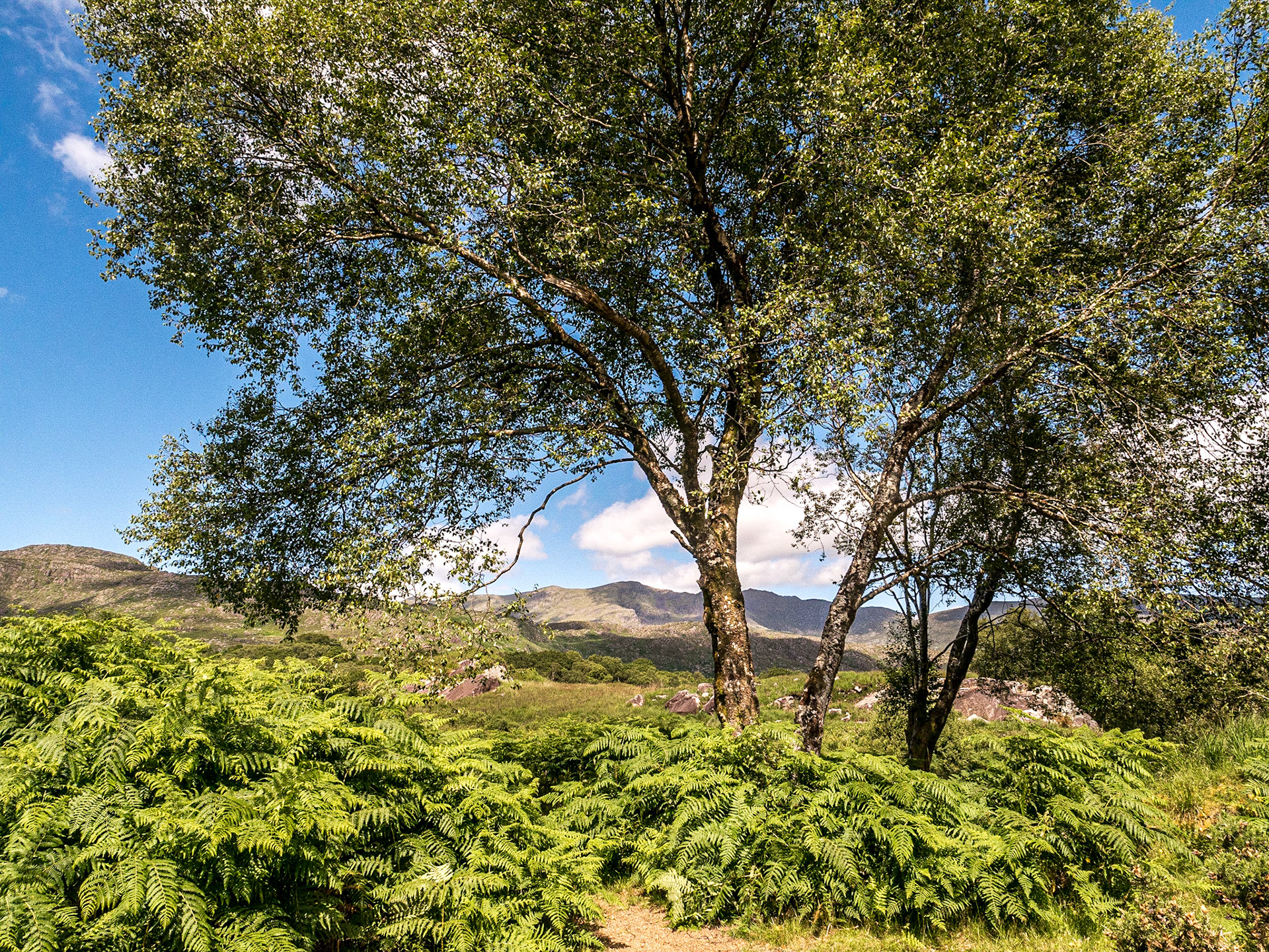 Black Valley, Co Kerry, 19 Jul 2015