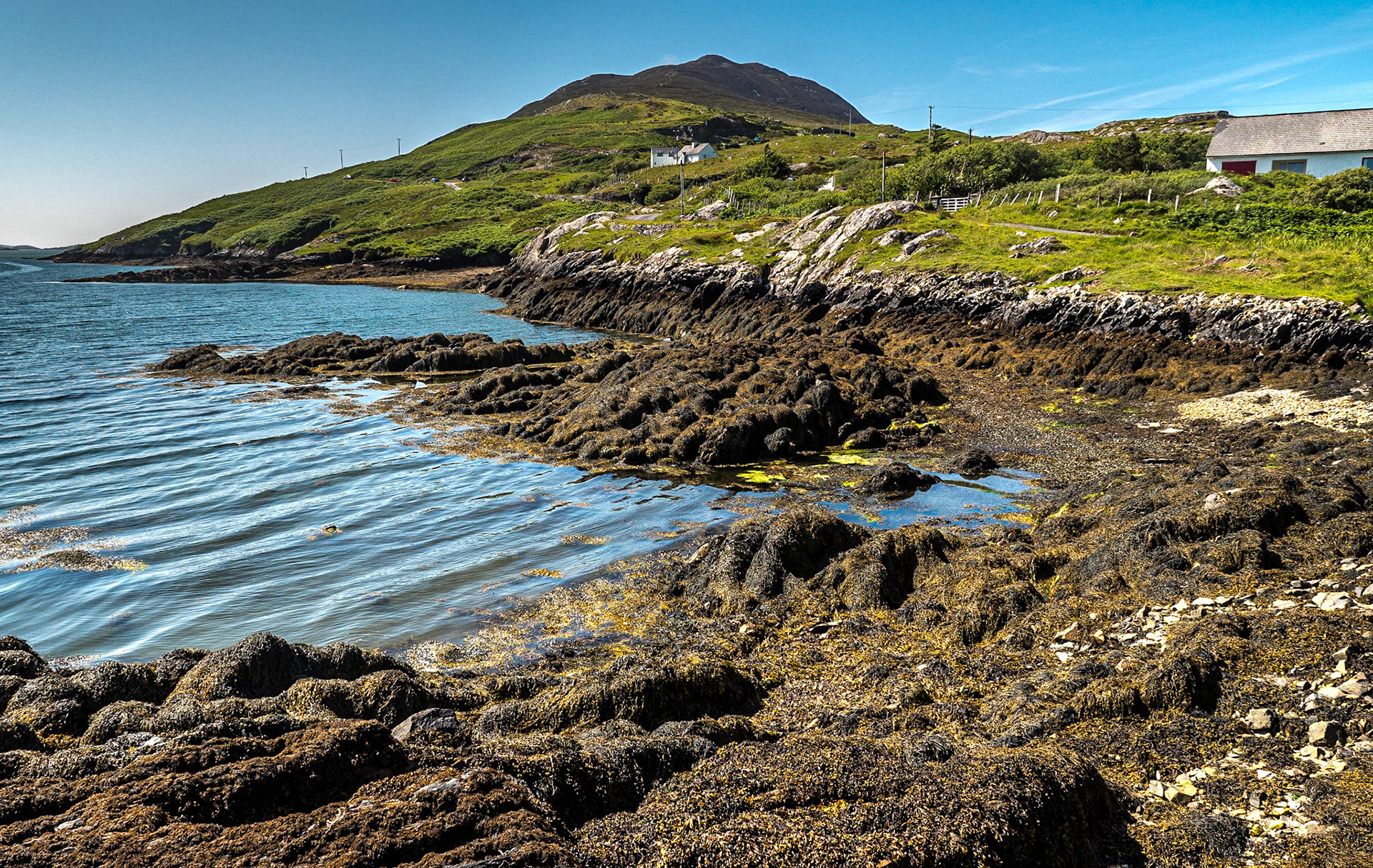 By Derryinver Quay, Co Galway, 30 Jun 2021