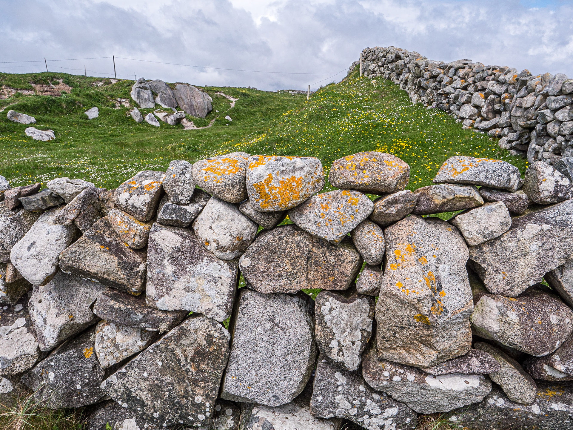 Mweenish Island, Co Galway, 11 May 2023