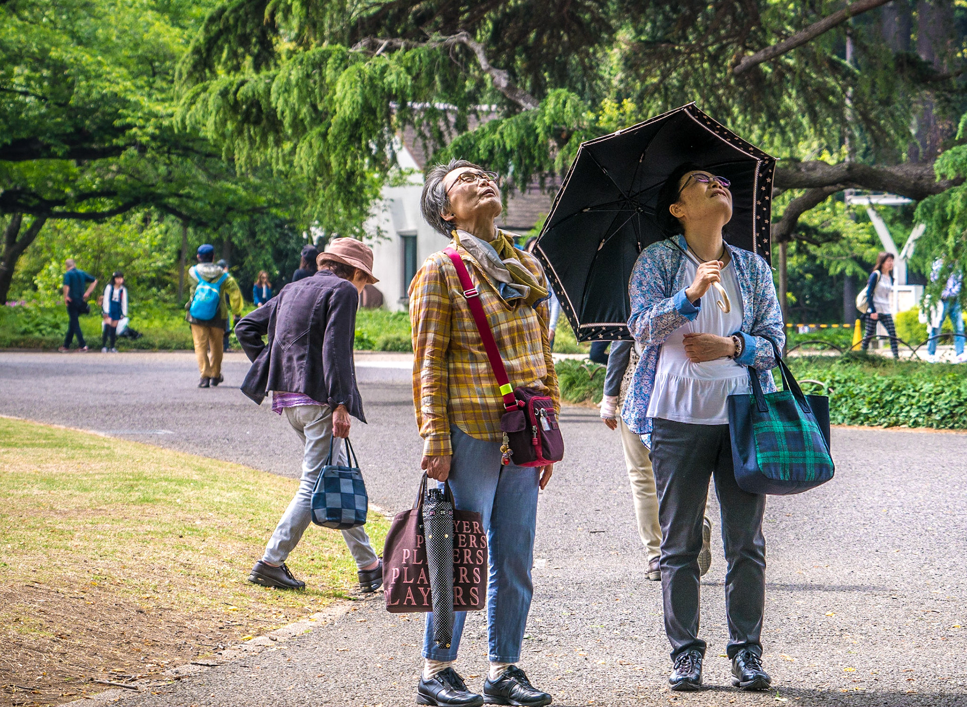 Shinjuku Gyoen National Garden, Tokyo, 3 May 2016