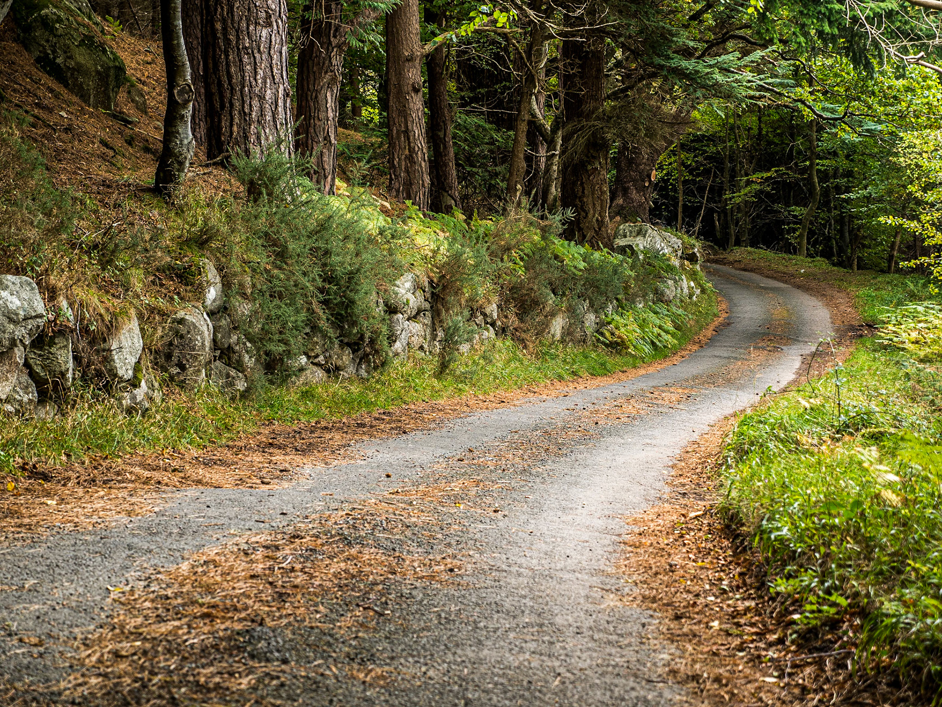Knockree, Co Dublin, 25 Oct 2015