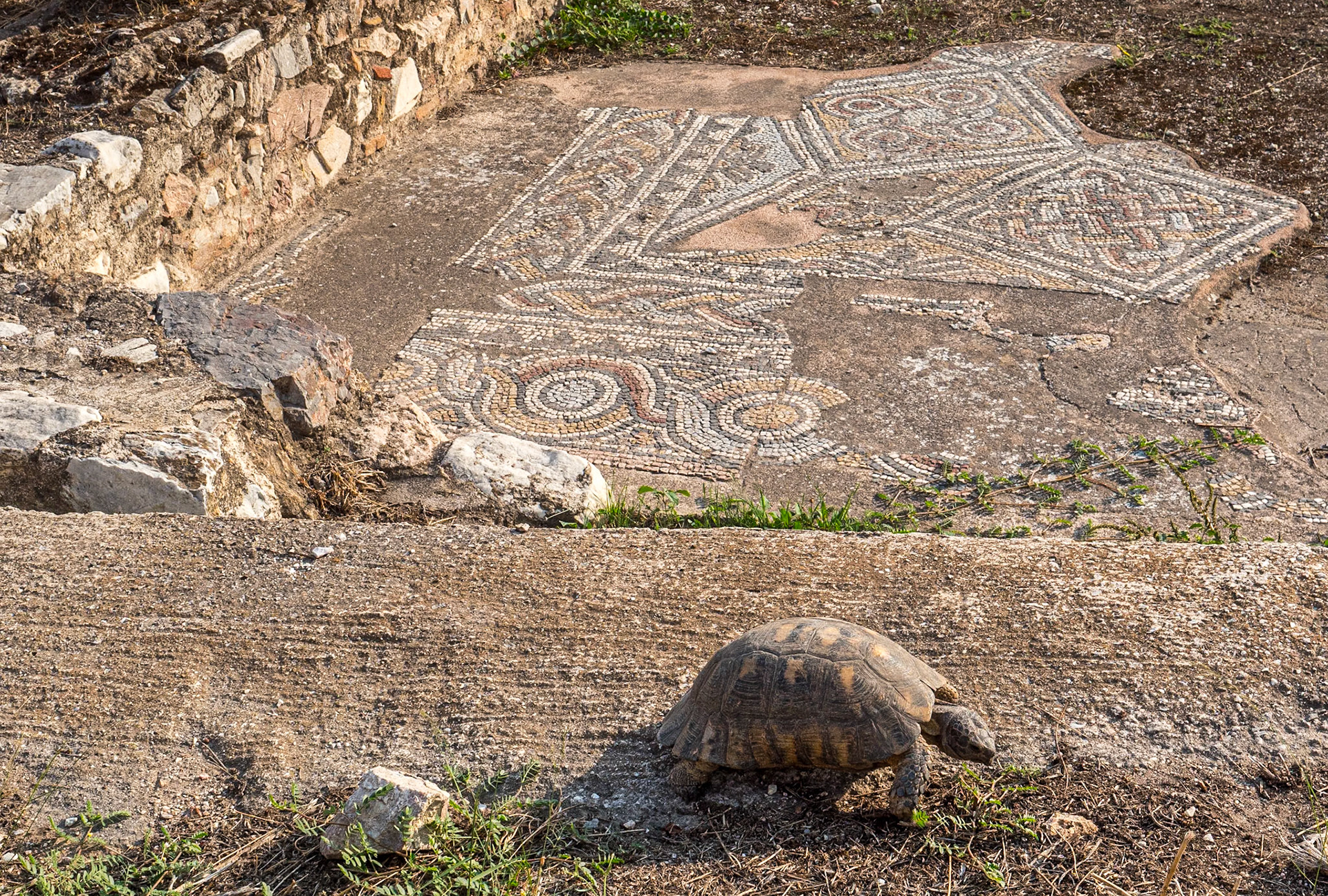 Hadrian's Library, Athens, 24 Sep 2024