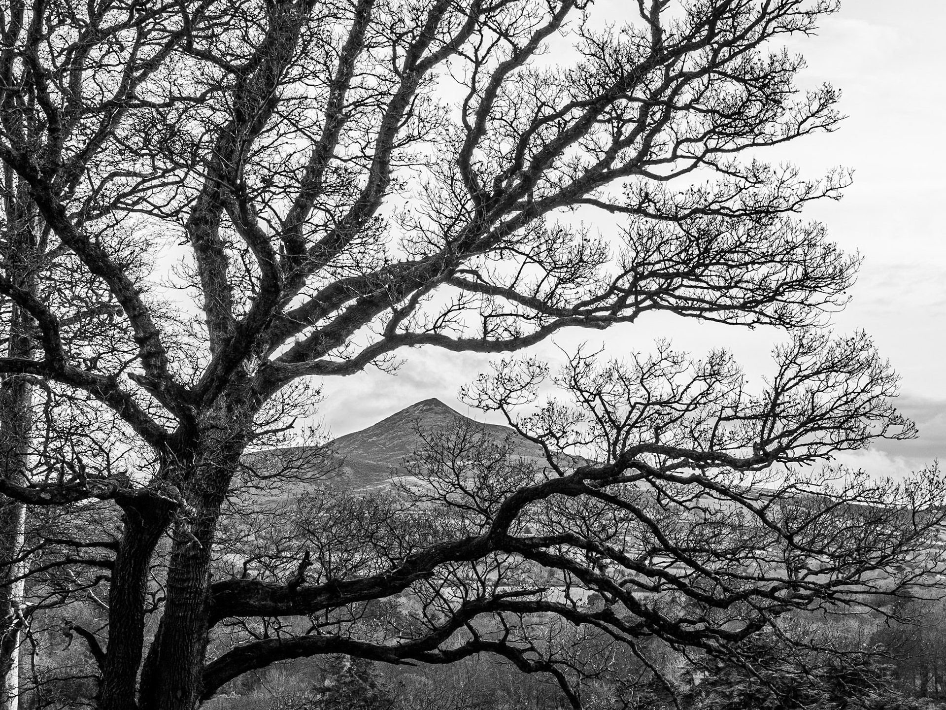 Powerscourt Estate, Co Wicklow, 25 Nov 2014