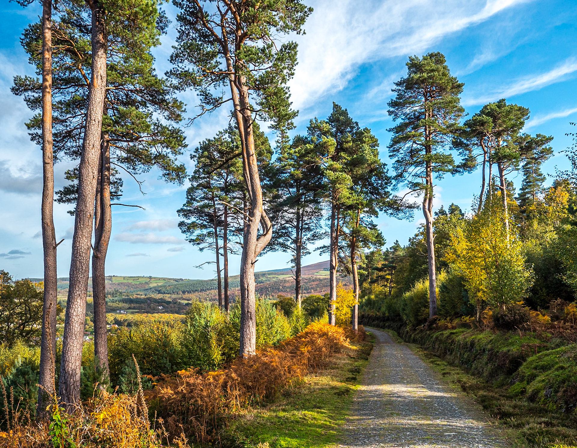 Glendalough Walk (Orange Route), Co Wicklow, 22 Oct 2018