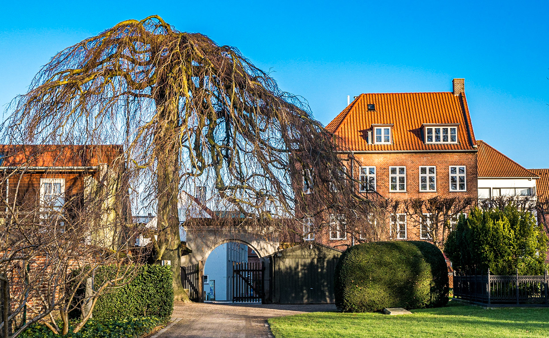 Greyfriars Cemetery, Roskilde, Denmark, 17 Jan 2015