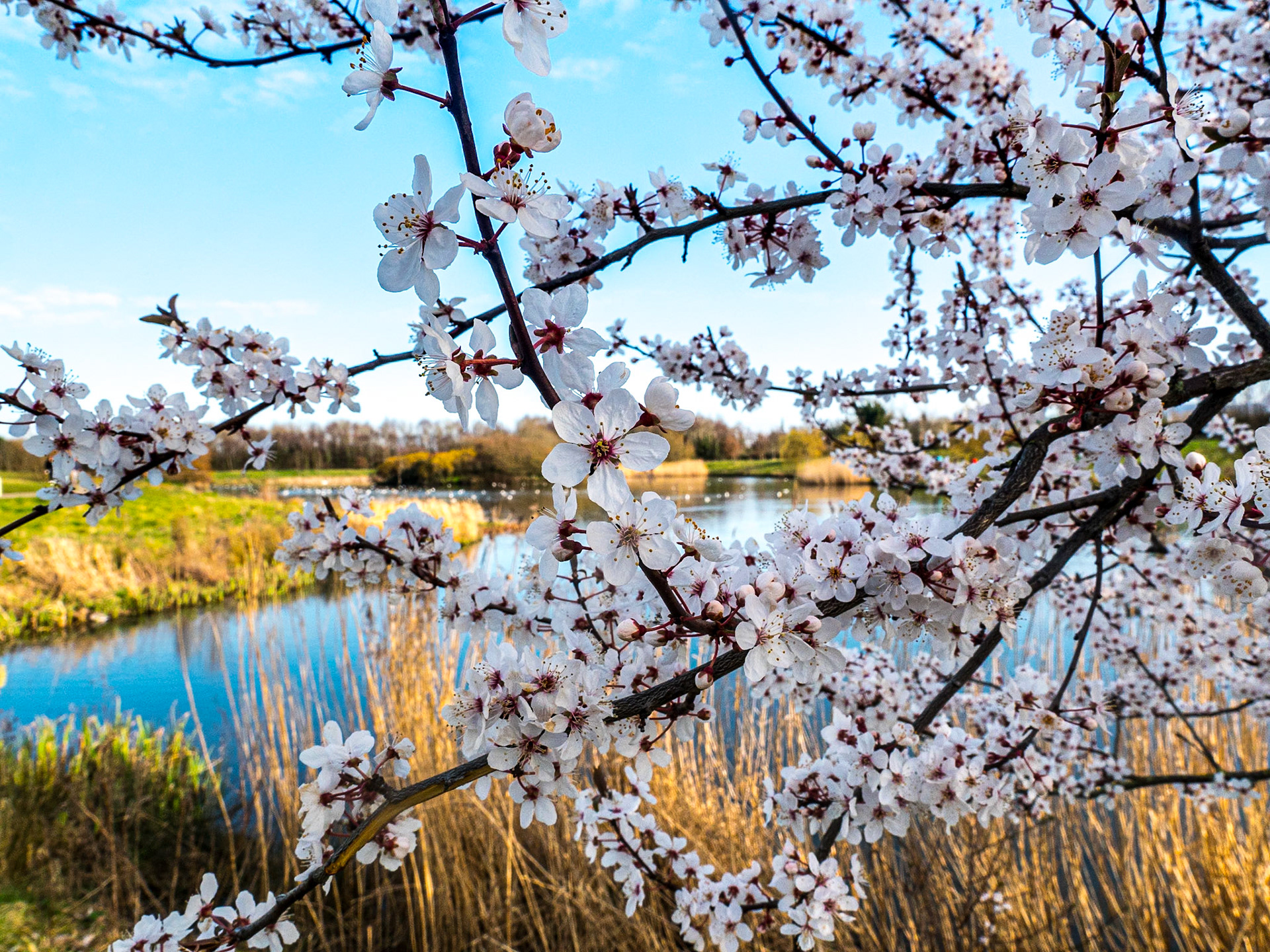 Tymon Park, Dublin, 7 Mar 2021