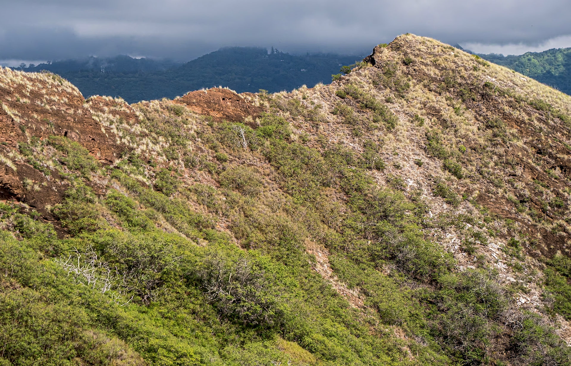Diamond Head Trail, O'ahu, Hawaii, 30 Jan 2024