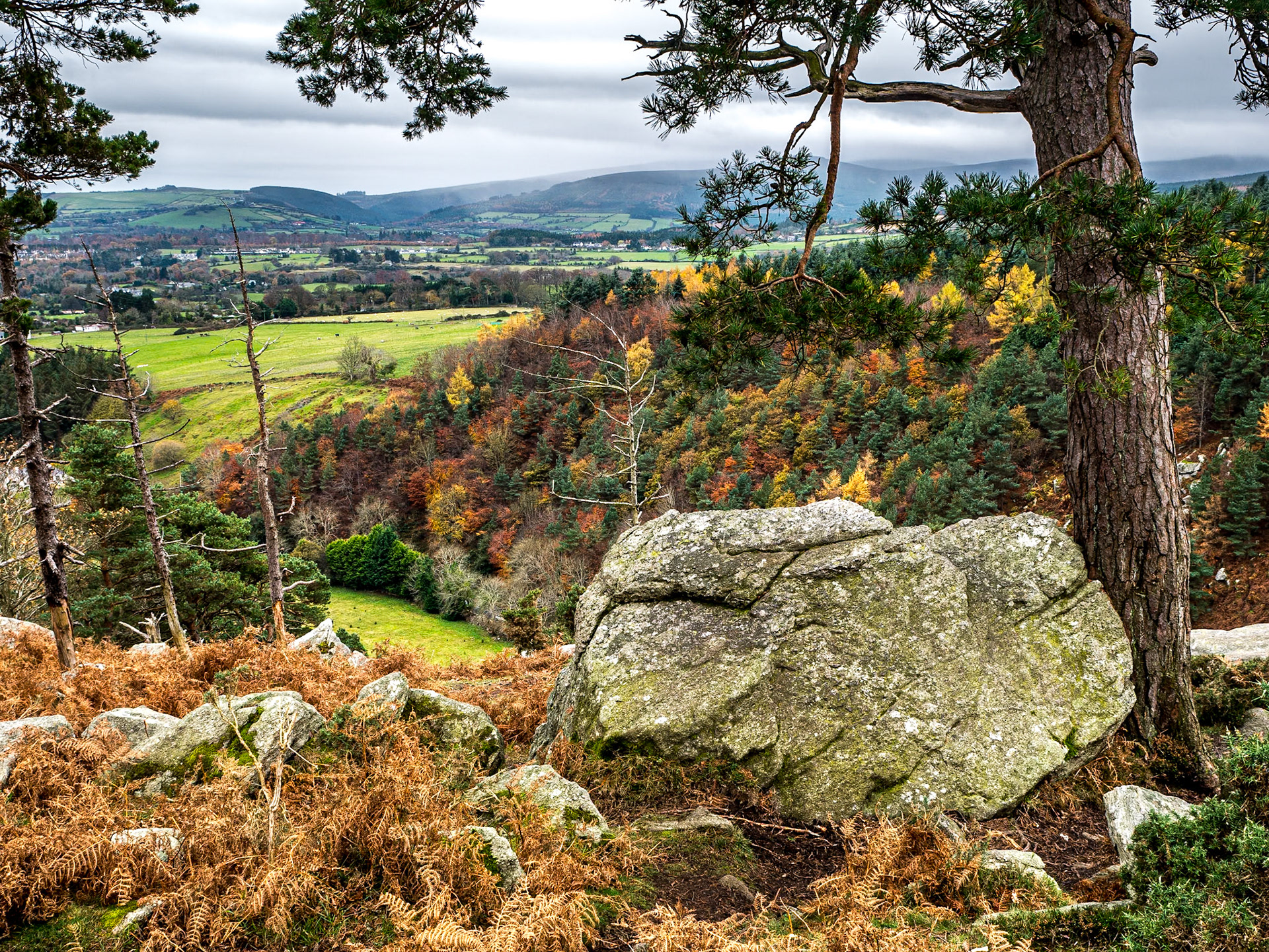 Barnaslingan (the Scalp), Co Dublin, 19 Nov 2017