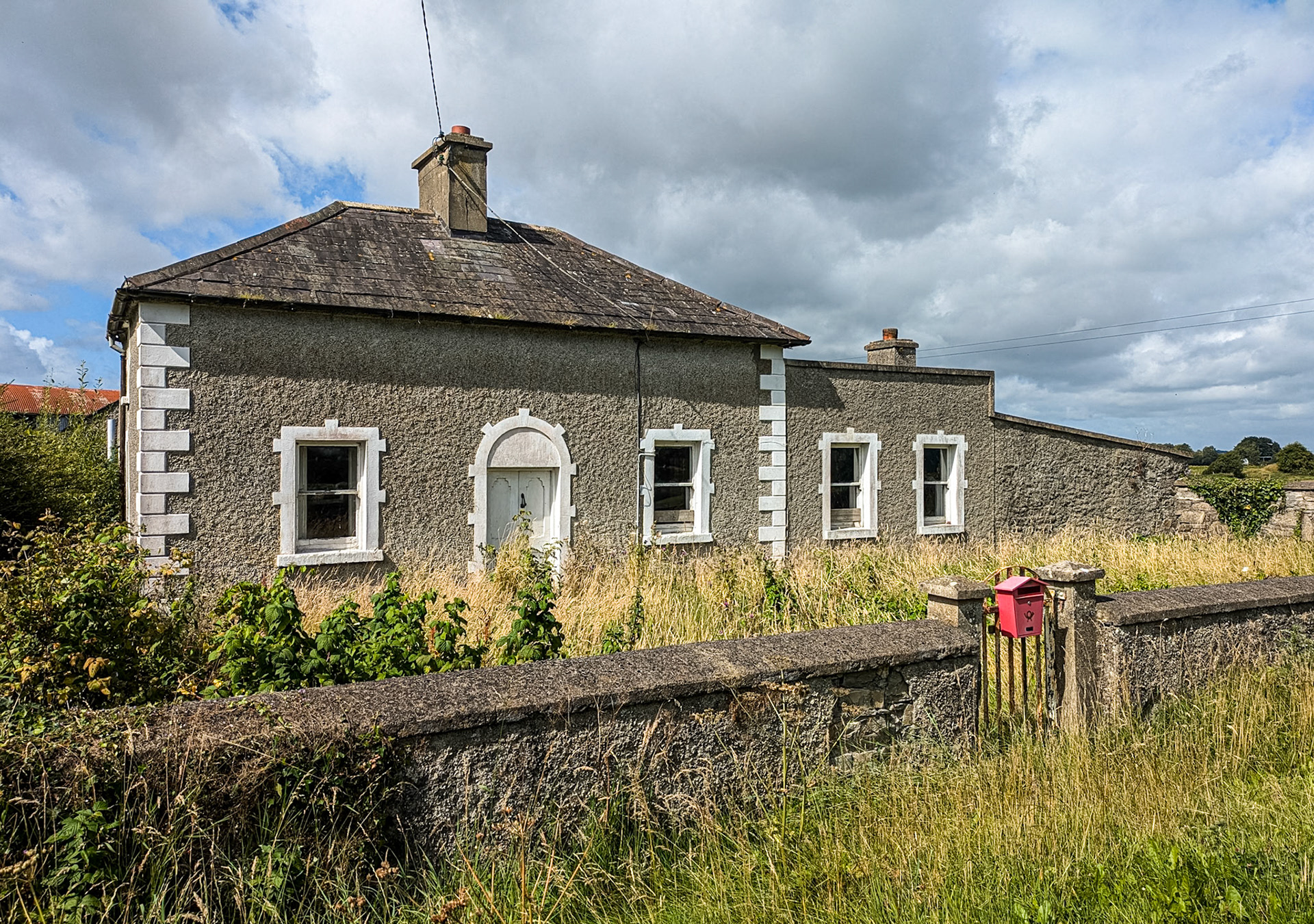 Near Knockanally, Co Kildare, 9 Aug 2024