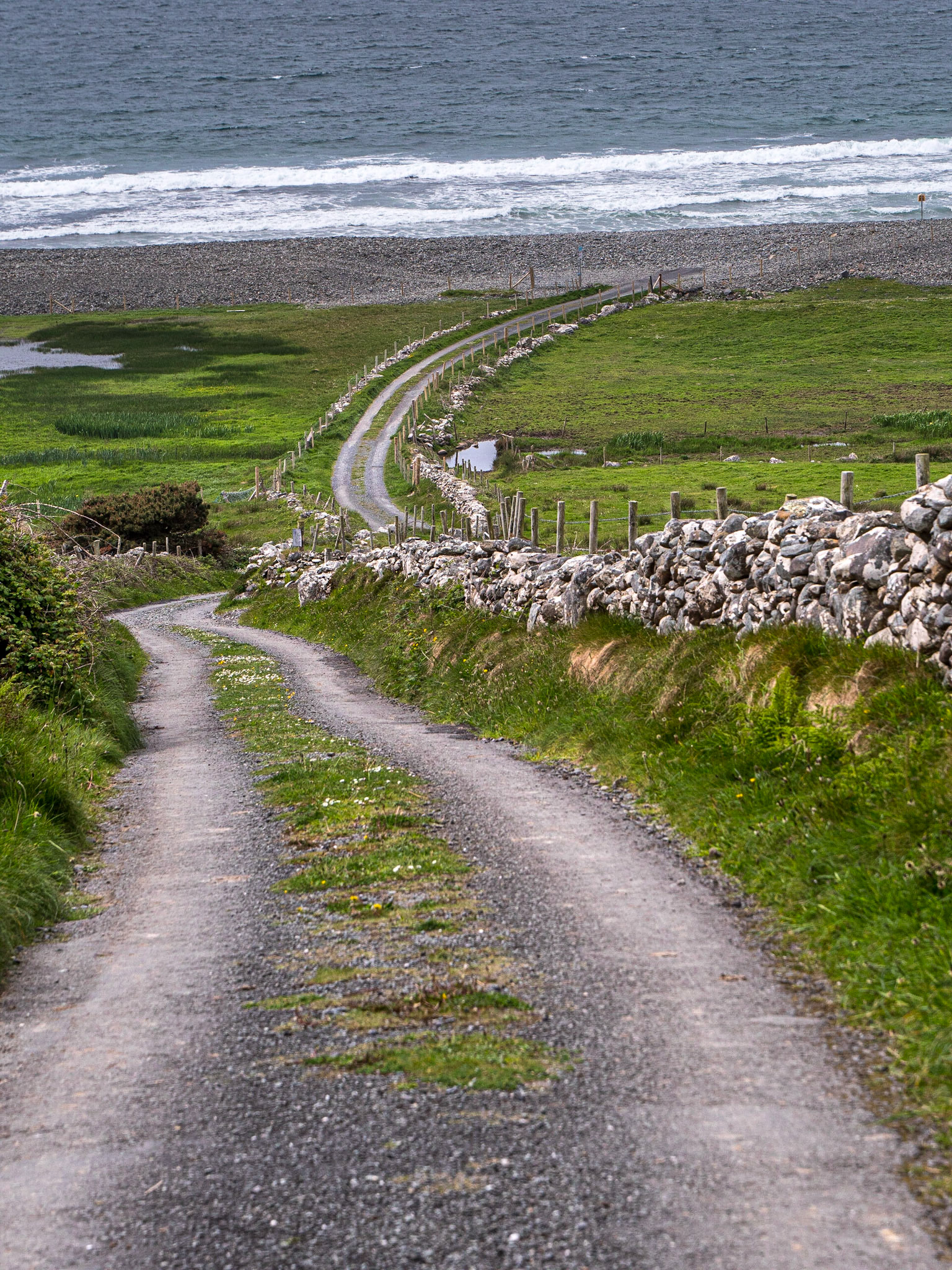 Near Cross Lough, Co Mayo, 13 May 2023