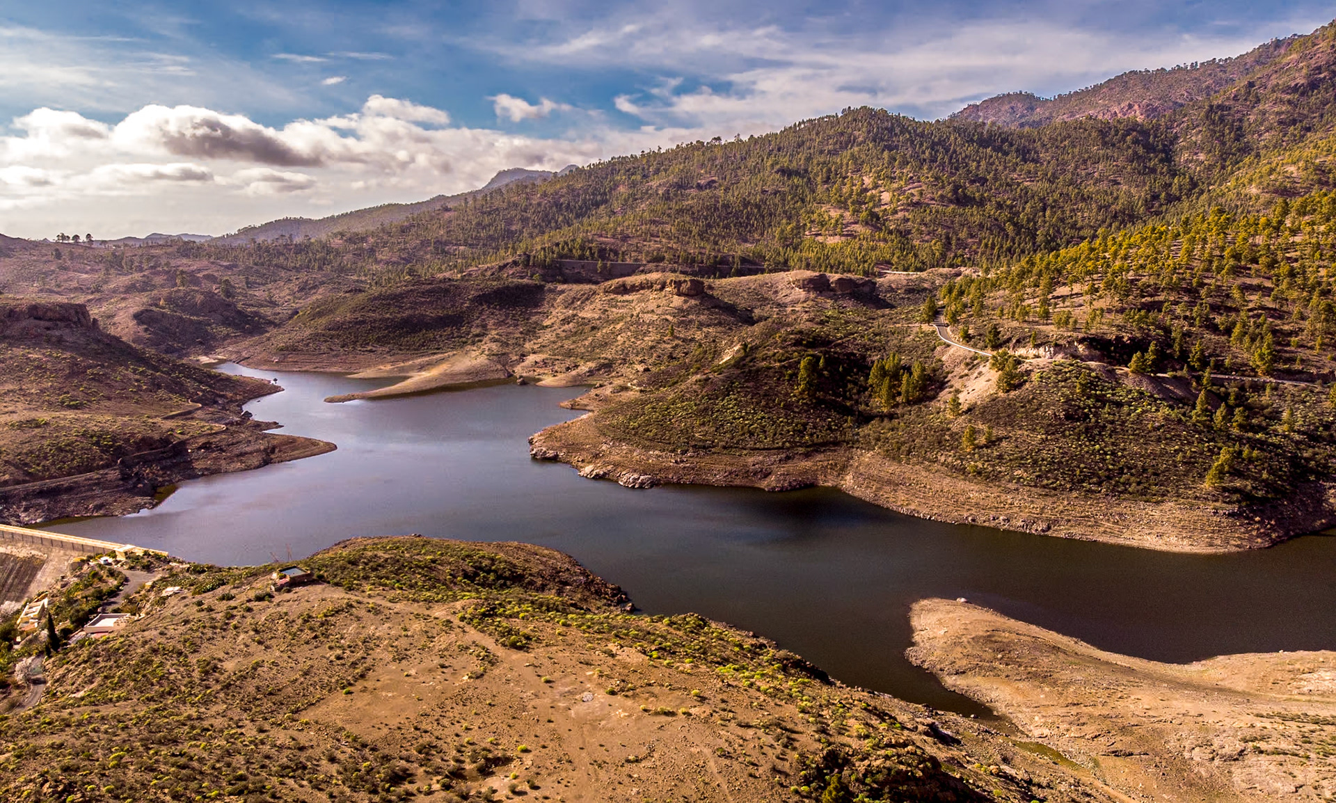 Near Presa Las Ninas, Gran Canaria, 27 Jan 2020