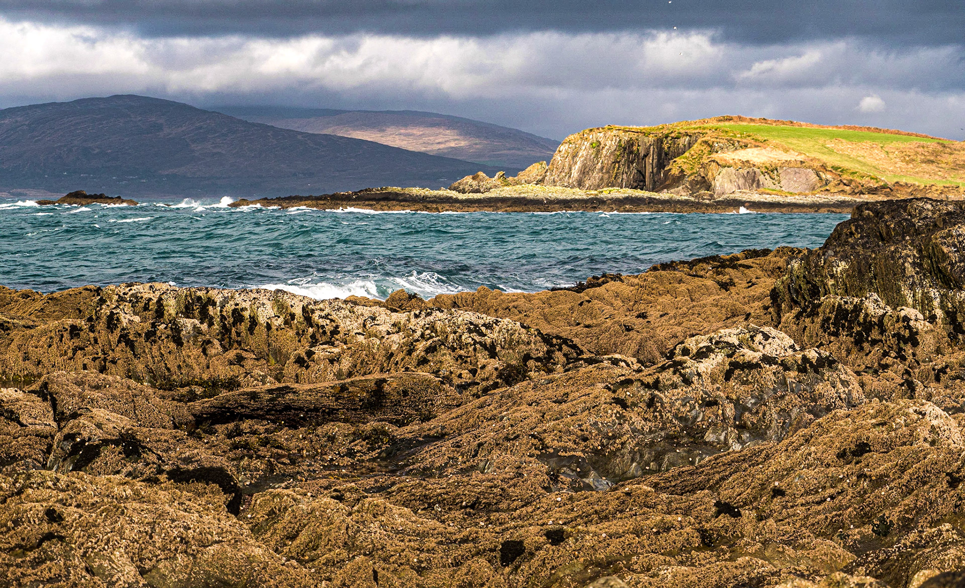 Near Rooska on the Sheep's Head Peninsula, Co Cork, 28 Feb 2019