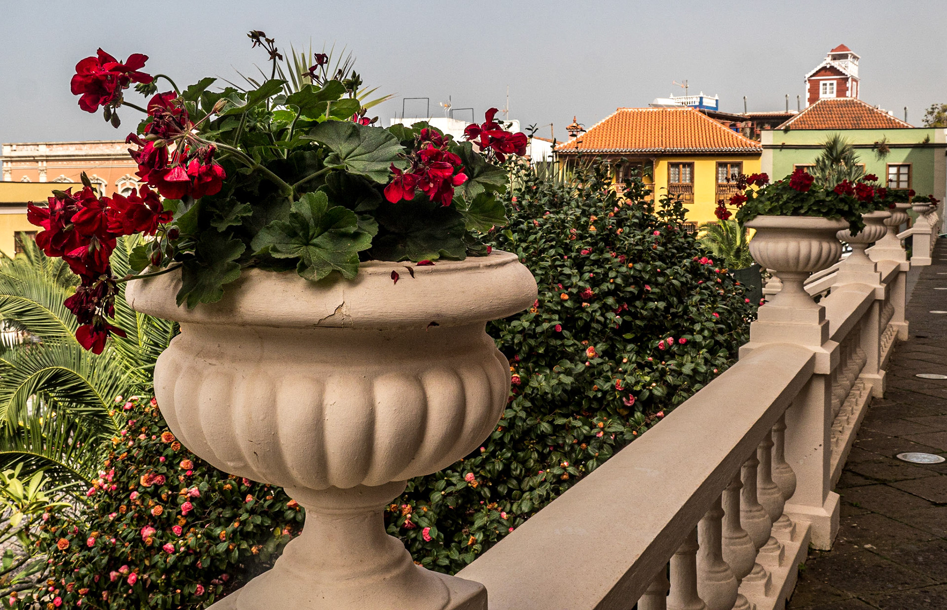 Town Hall, La Orotava, Tenerife, 30 Jan 2022
