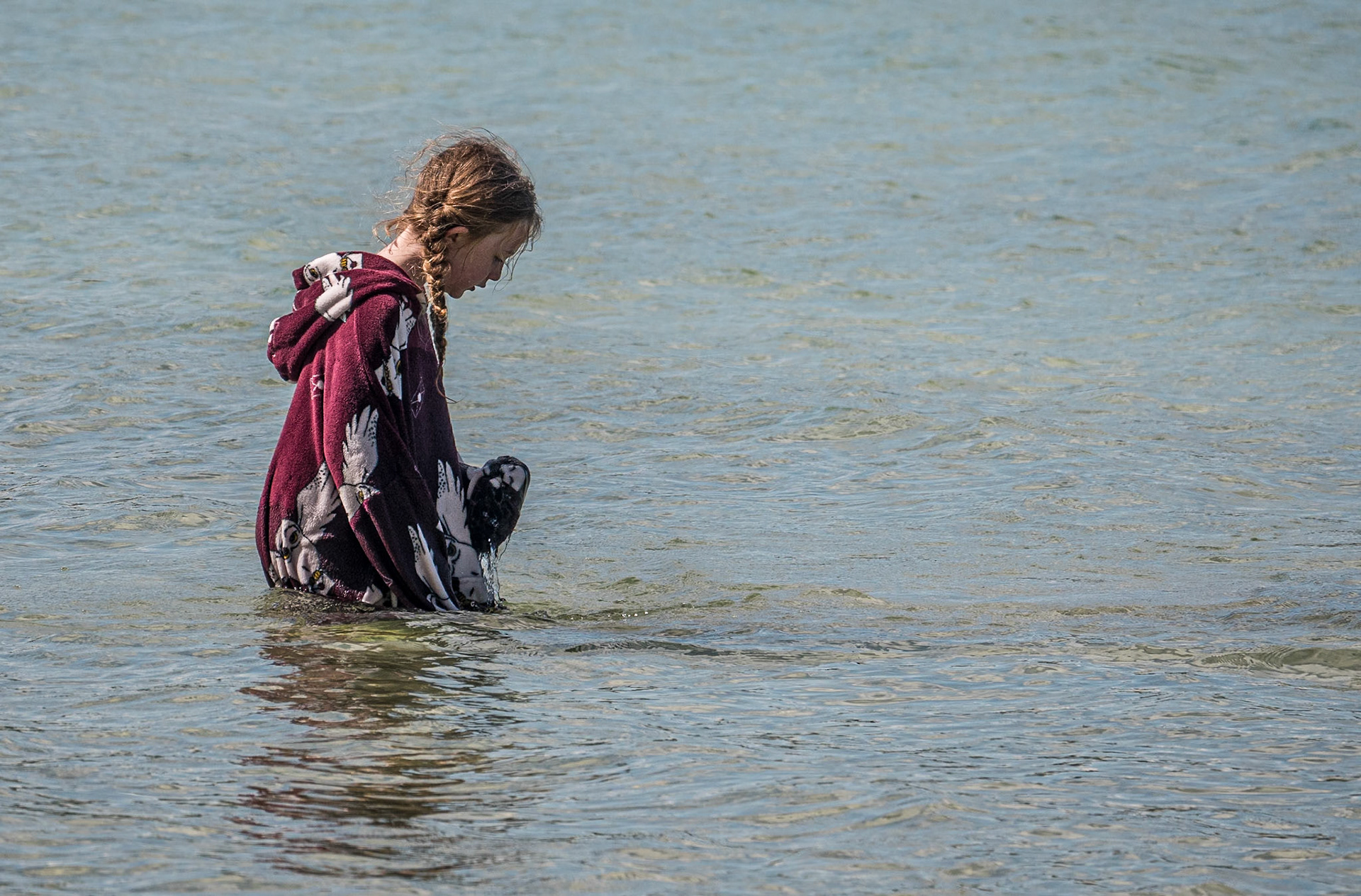 Helen's Bay, Co Down, 8 Jul 2024