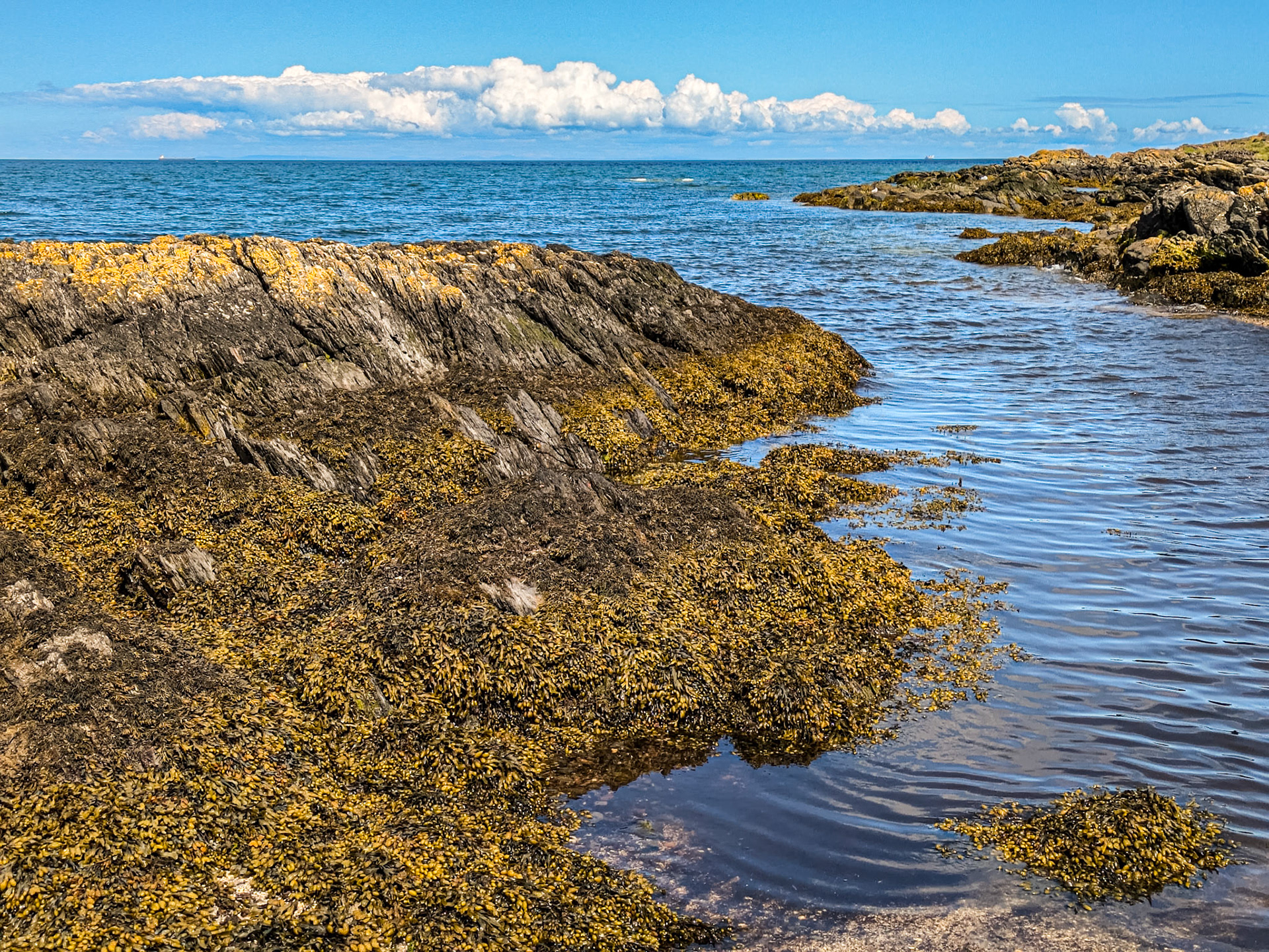 Helen's Bay, Co Down, 8 Jul 2024