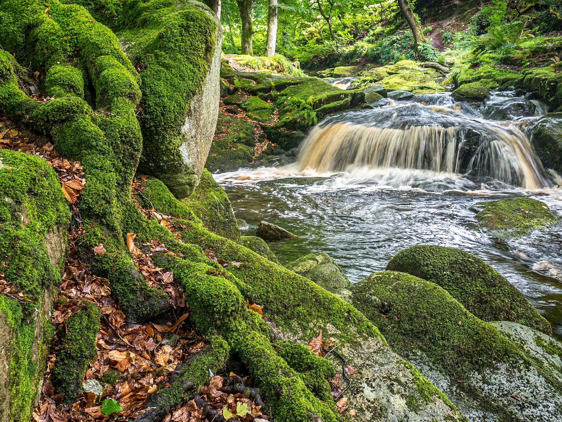 Cloghleagh, Co Wicklow, 5 Sep 2017