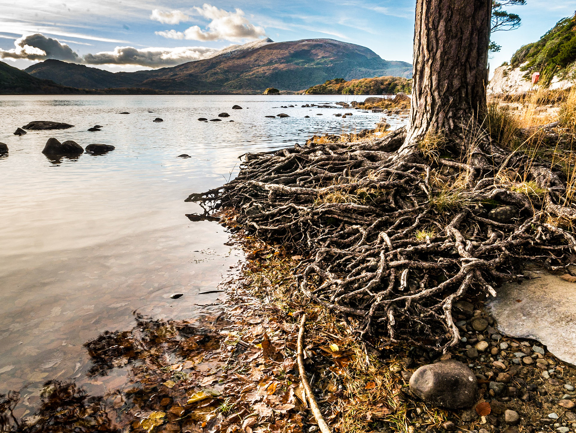 Old boathouse peninsula, Muckross estate, Killarney, 21 Nov 2016