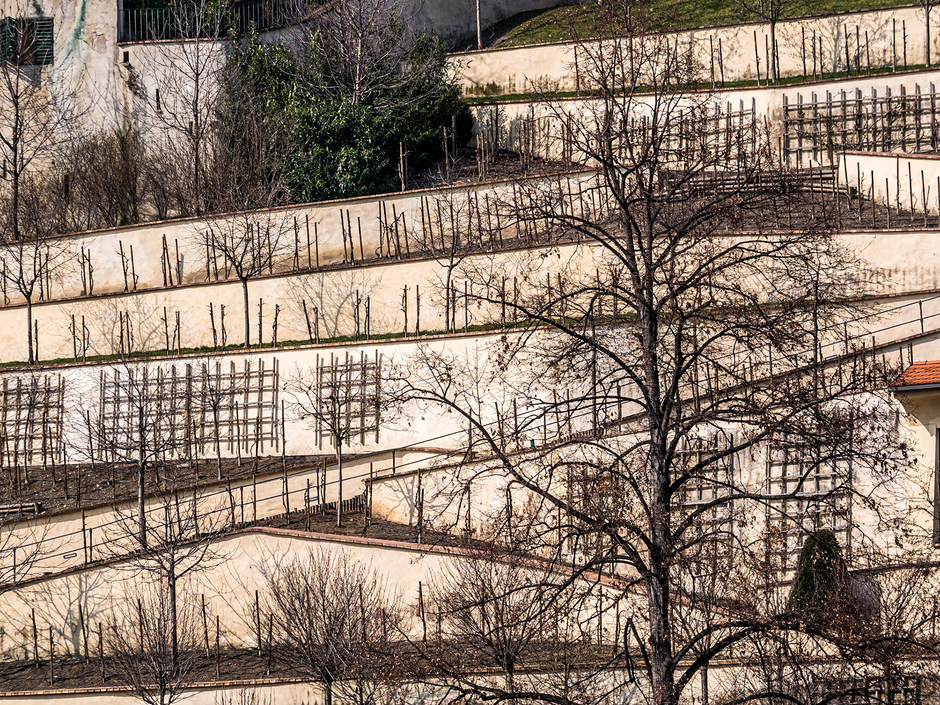 Below Prague castle, 21 Mar 2015