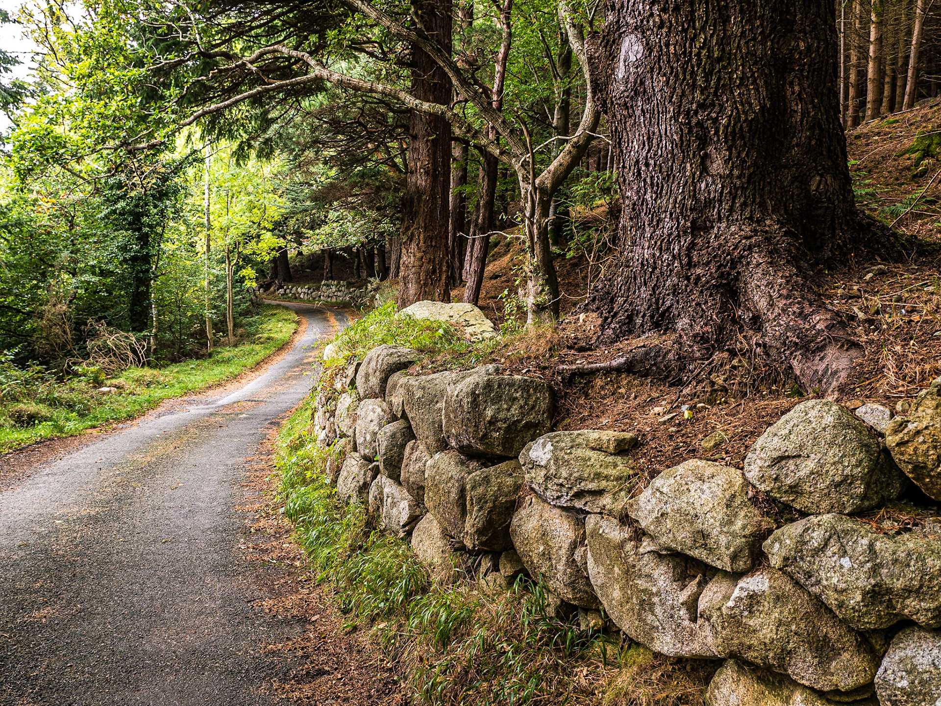 Knockree, 5 Oct 2014