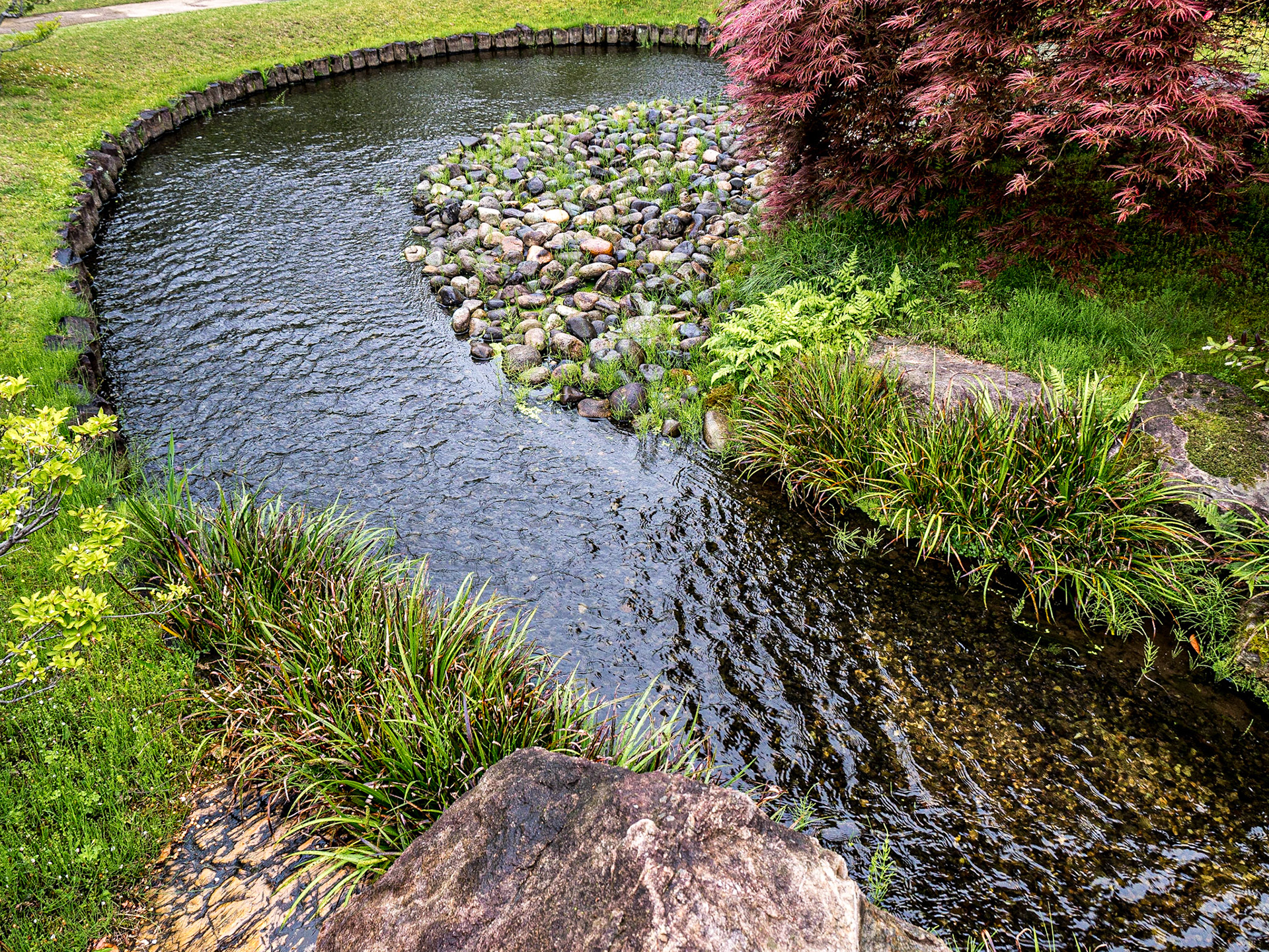 Koko-en garden, Himeji, 27 Apr 2016