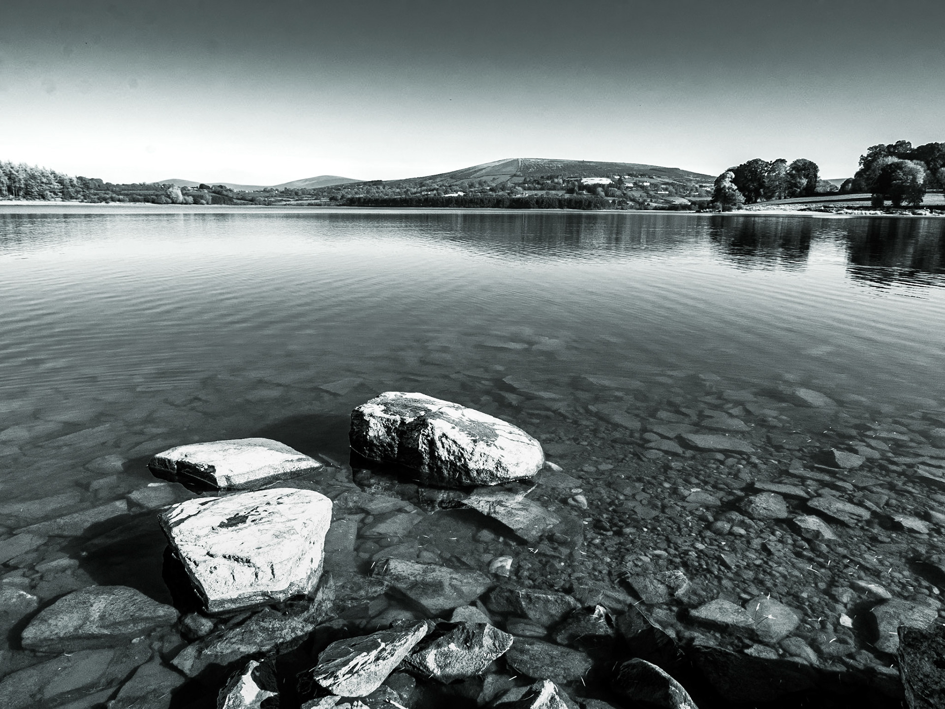 Blessington Lakes, Co Wicklow, 1 Nov 2015