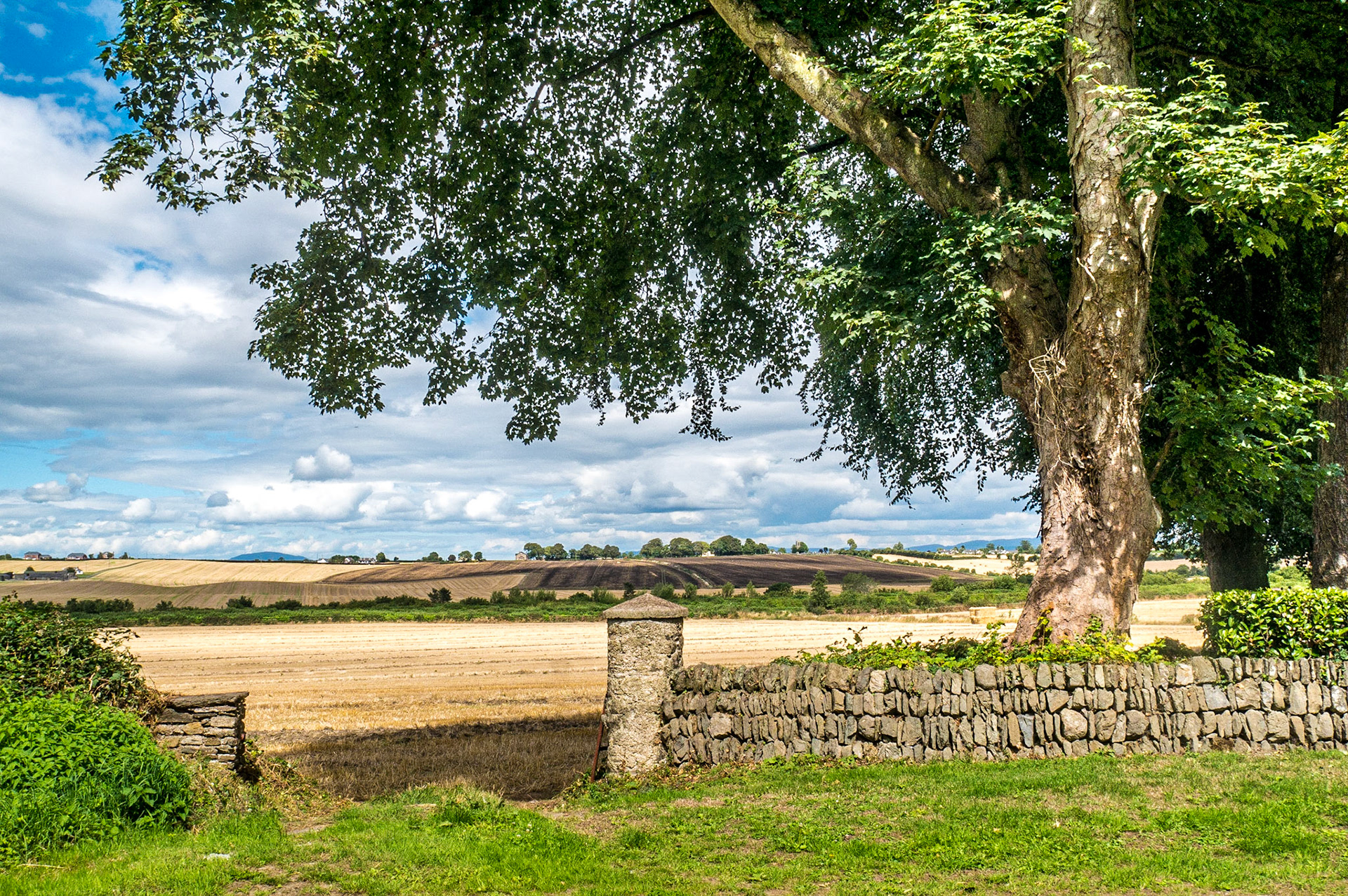 Opposite Richardstown Church and Graveyard, Co Louth, 9 Aug 2018
