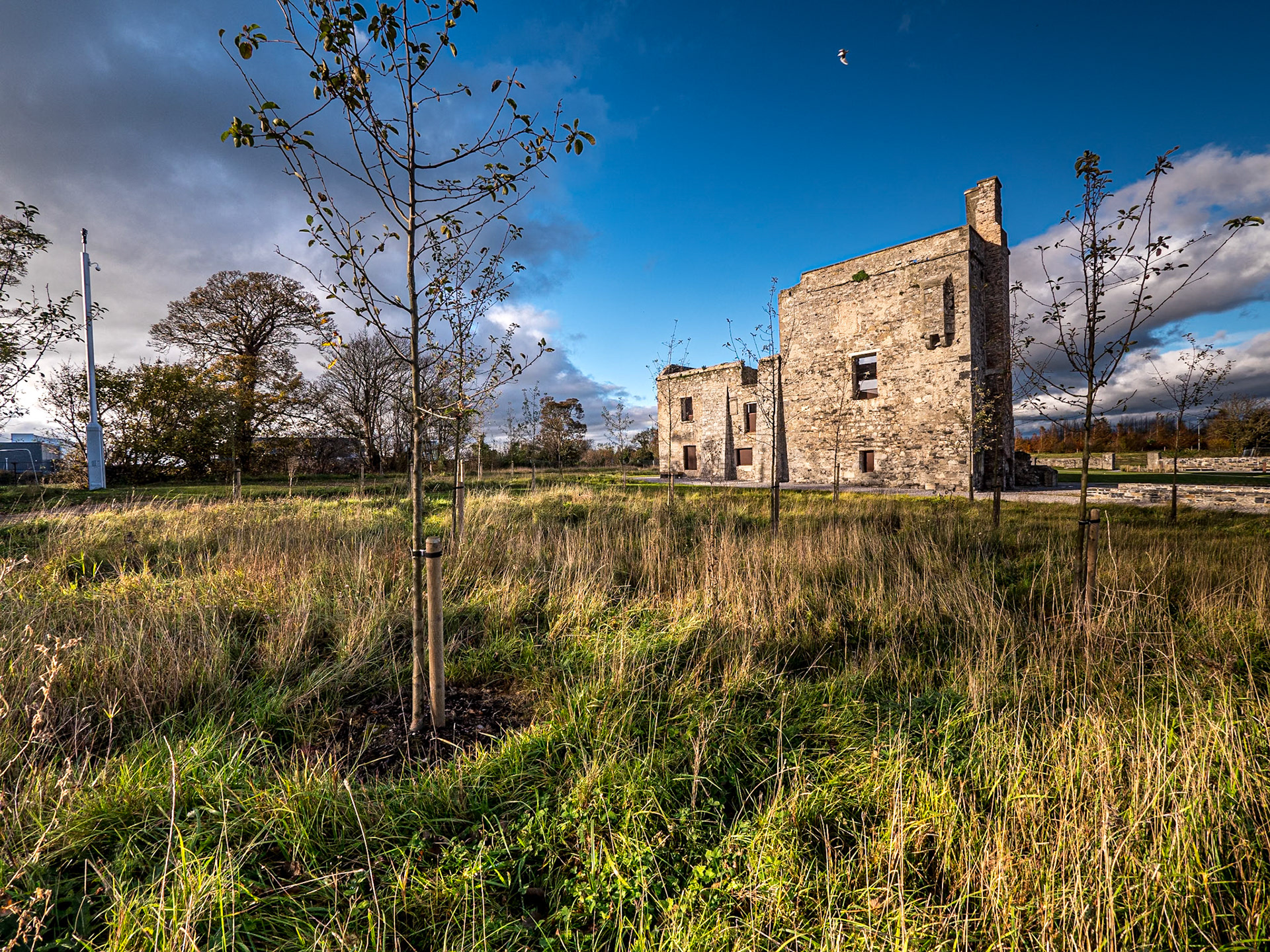 Grange Castle, Co Dublin, 8 Nov 2020