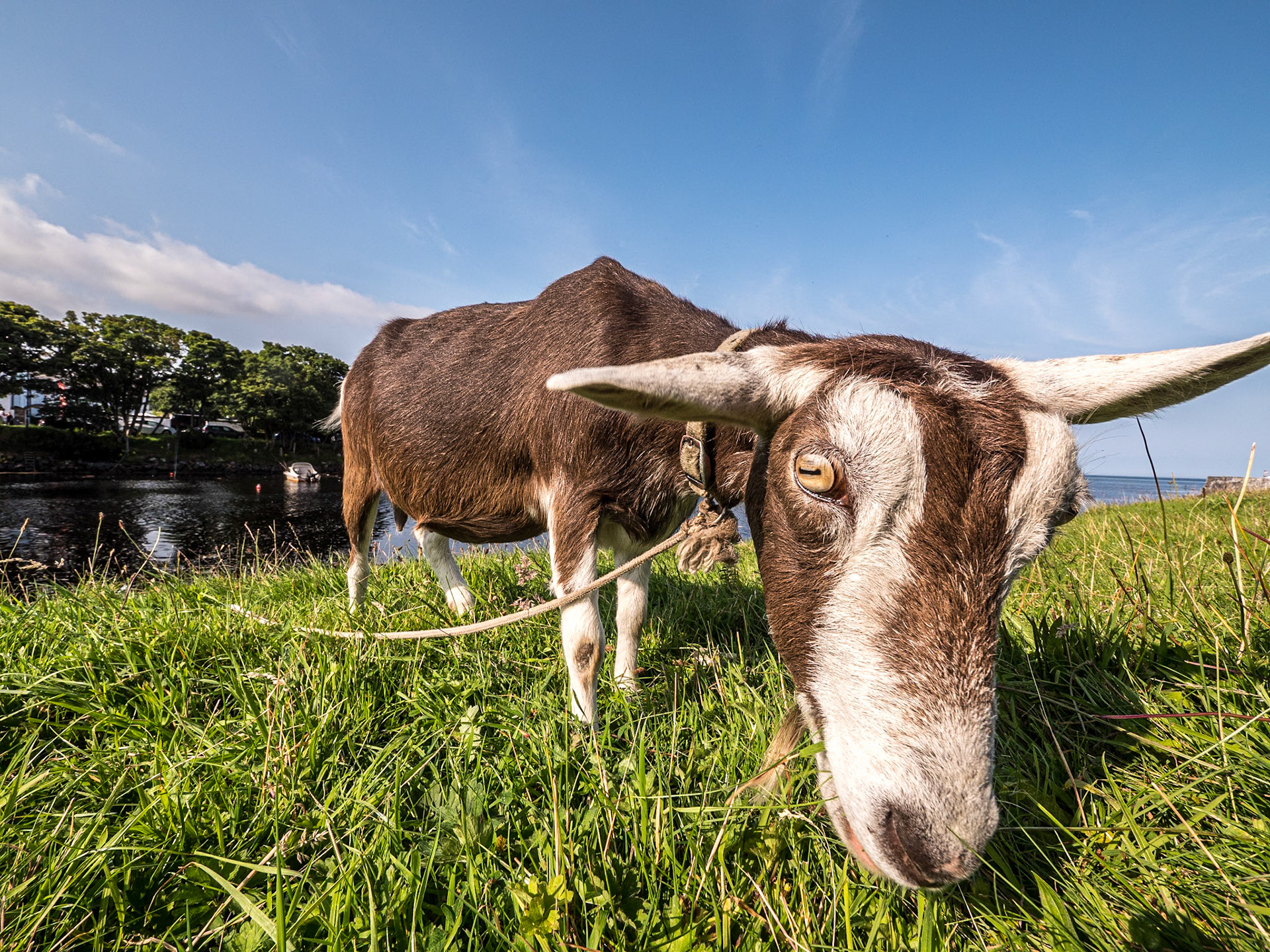 Cushendun, Co Antrim, 11 Aug 2020