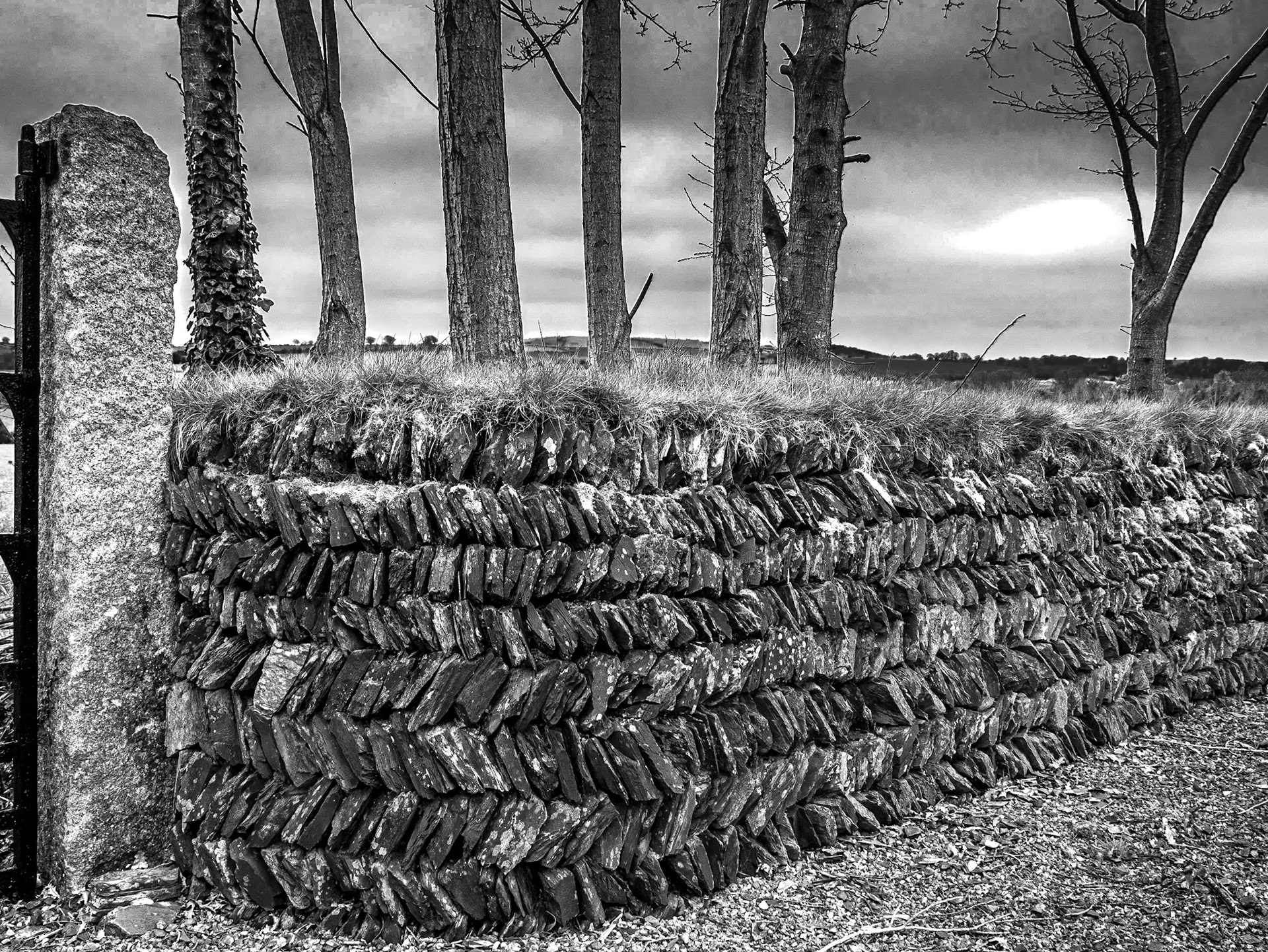 Fr Murphy Centre, Boolavogue, Co Wexford, 11 Apr 2018