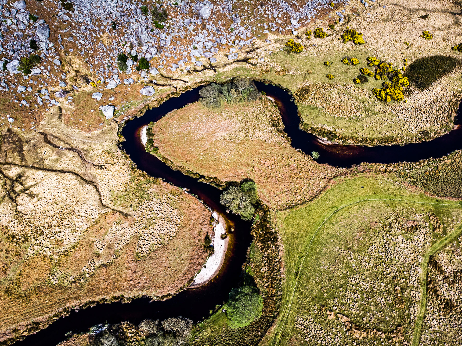 Inchavore River, Co Wicklow, 21 Apr 2019