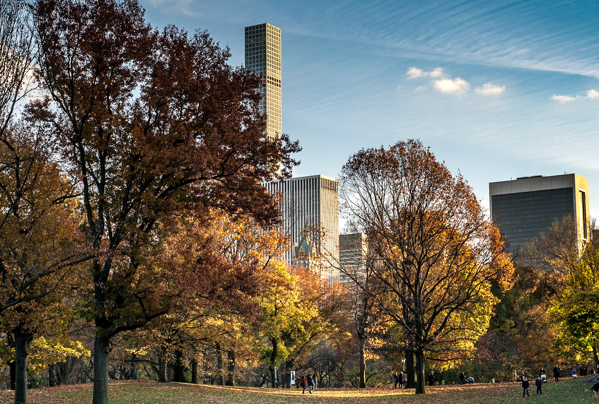 Central Park, Manhattan, 21 Nov 2015