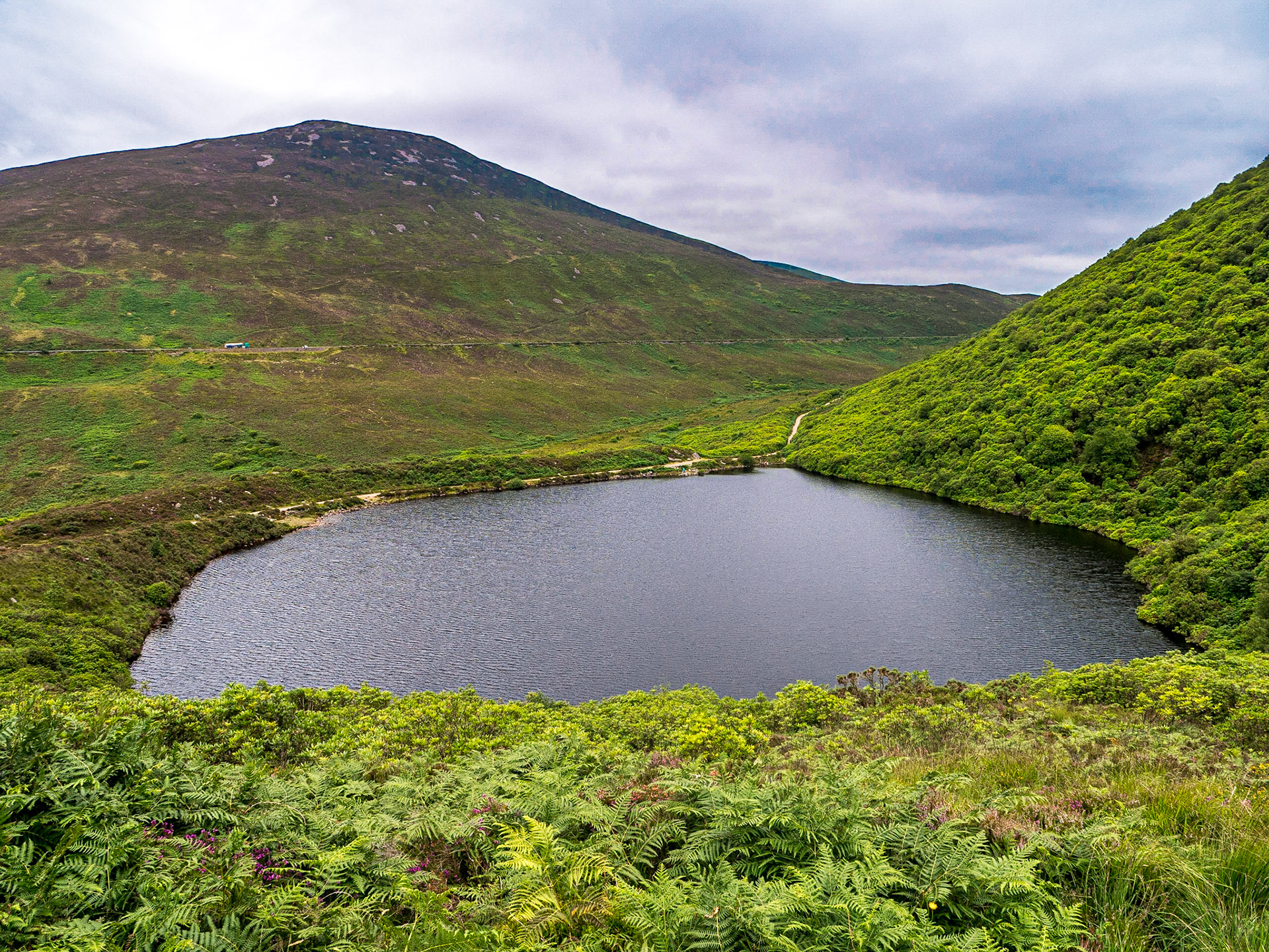 Near Clogheen, Co Tipperary, 25 Jul 2017