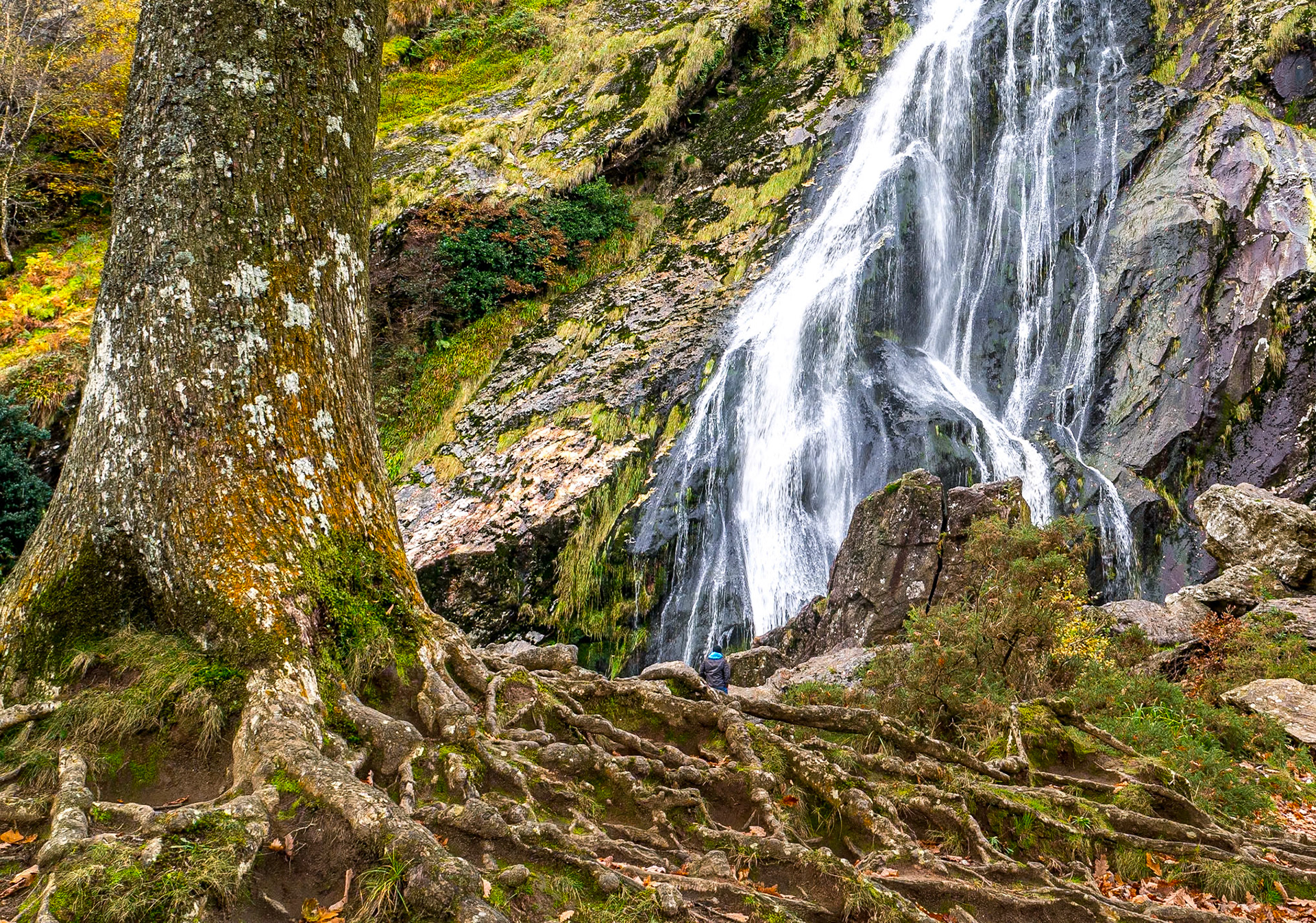 Powerscourt Waterfall, Co Wicklow, 8 Nov 2017