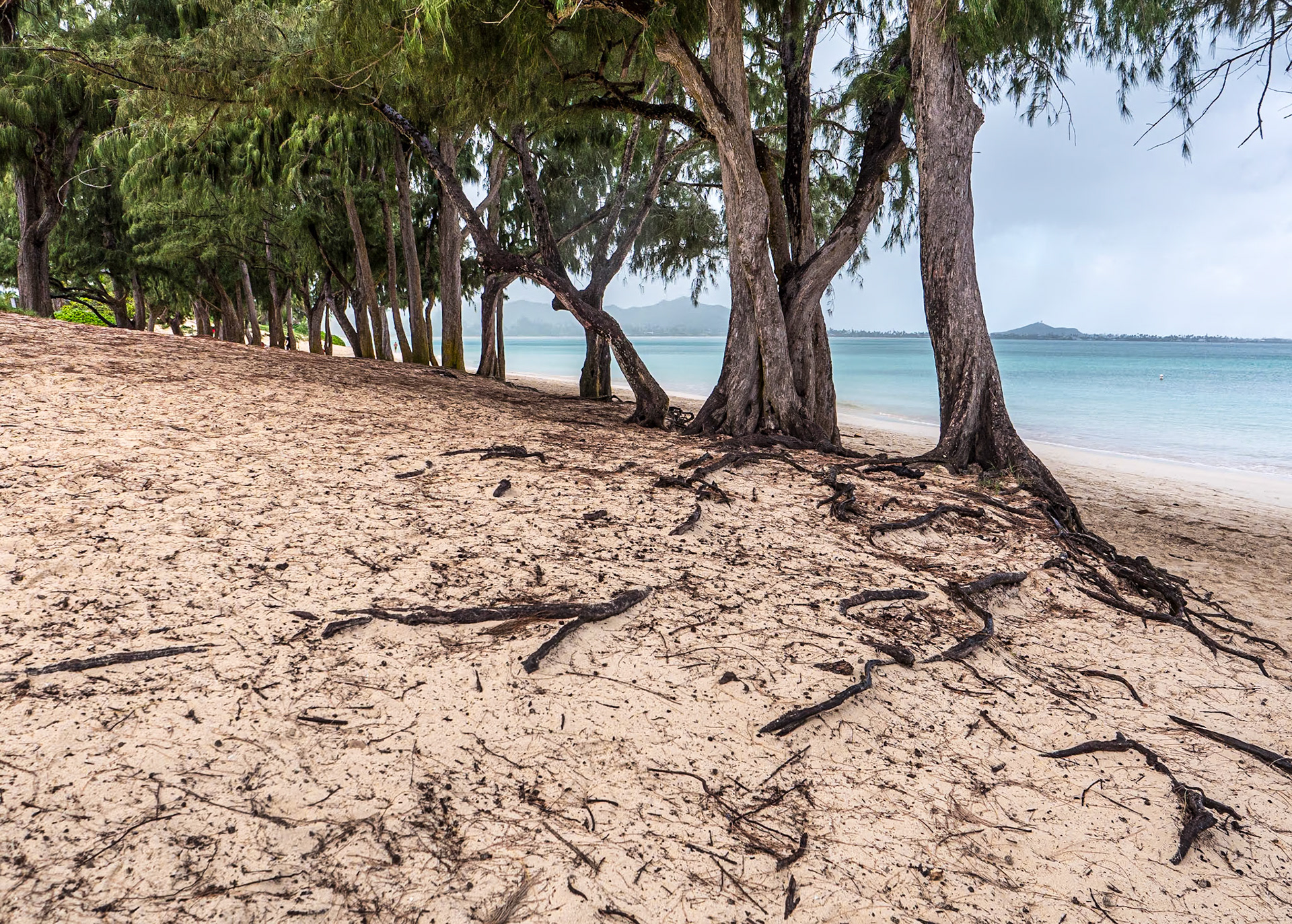 Kailua Beach, O'ahu, Hawaii, 28 Jan 2024