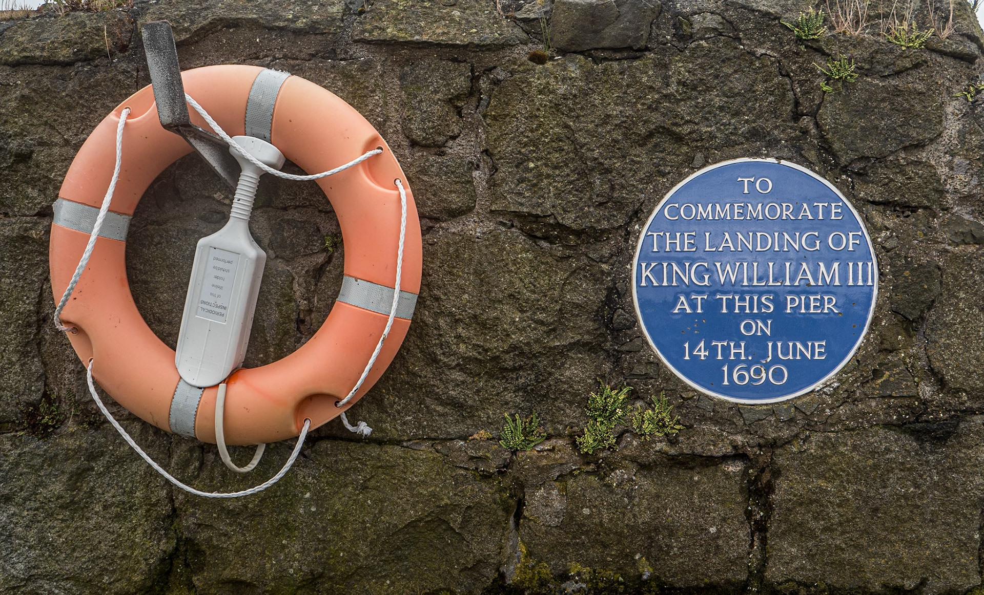 Carrickfergus harbour, Co Antrim, 10 Jul 2024