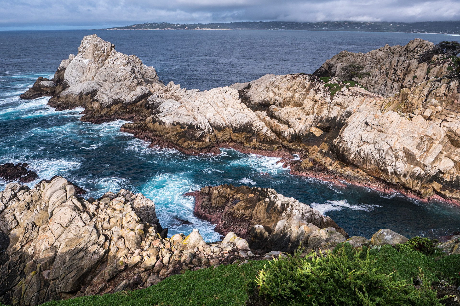 Point Lobos State Natural Reserve, California, 22 Jan 2024