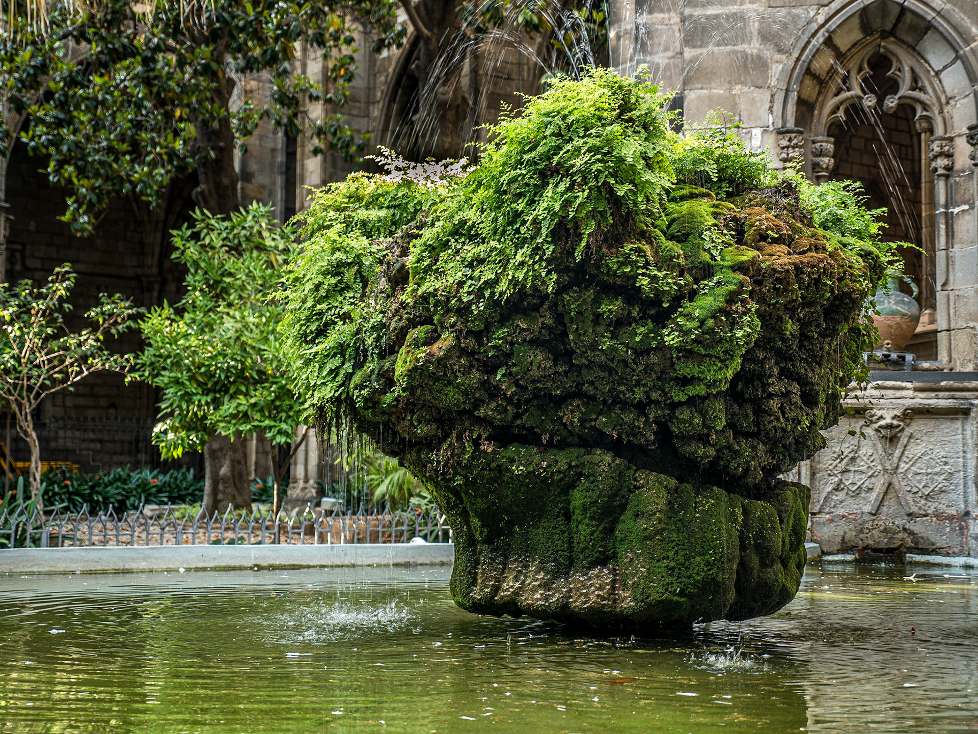 In cloister of Barcelona cathedral, 24 Jun 2016