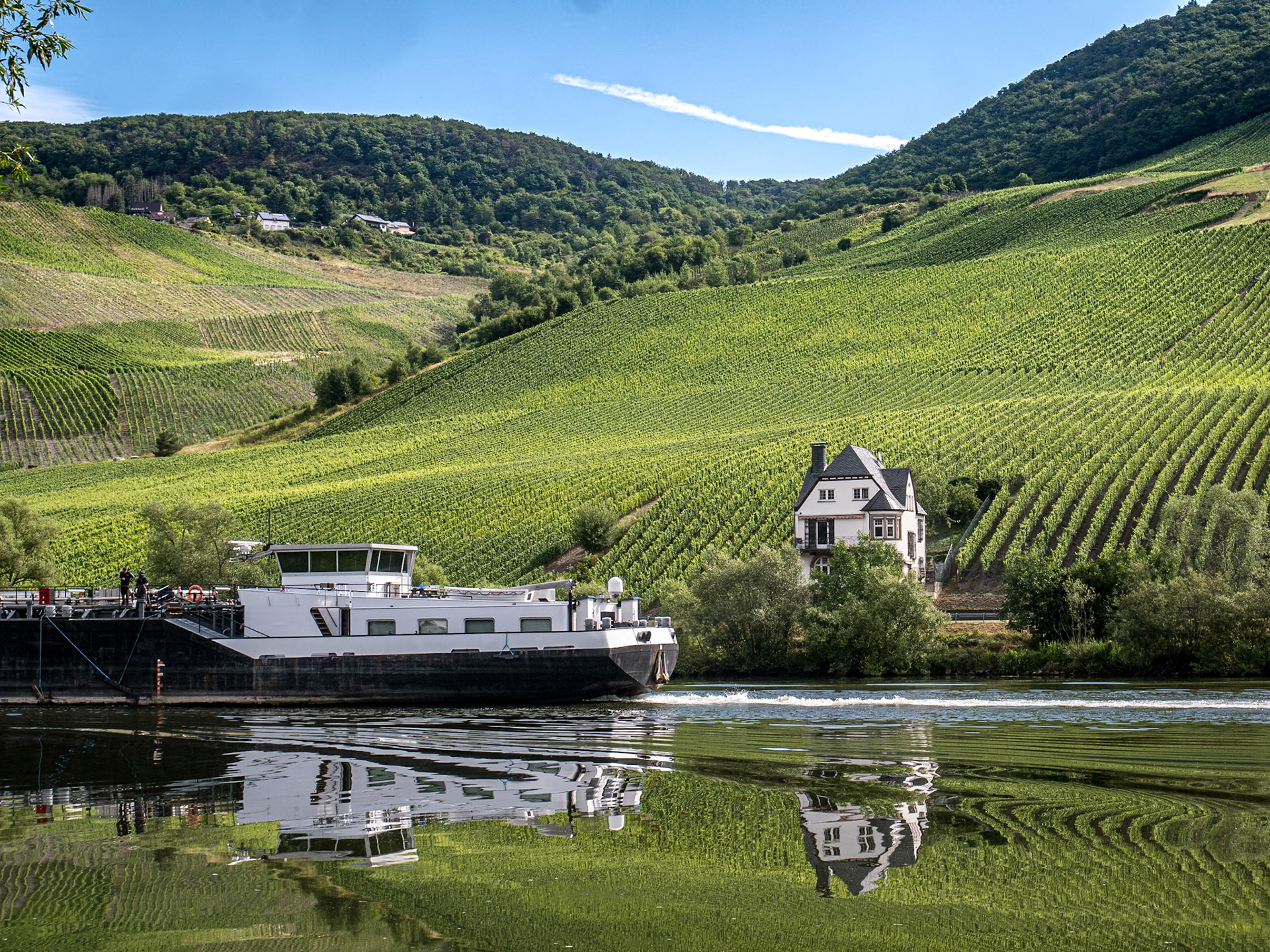 Along the Moselle near Bernkastel, Germany, 20 Jul 2025