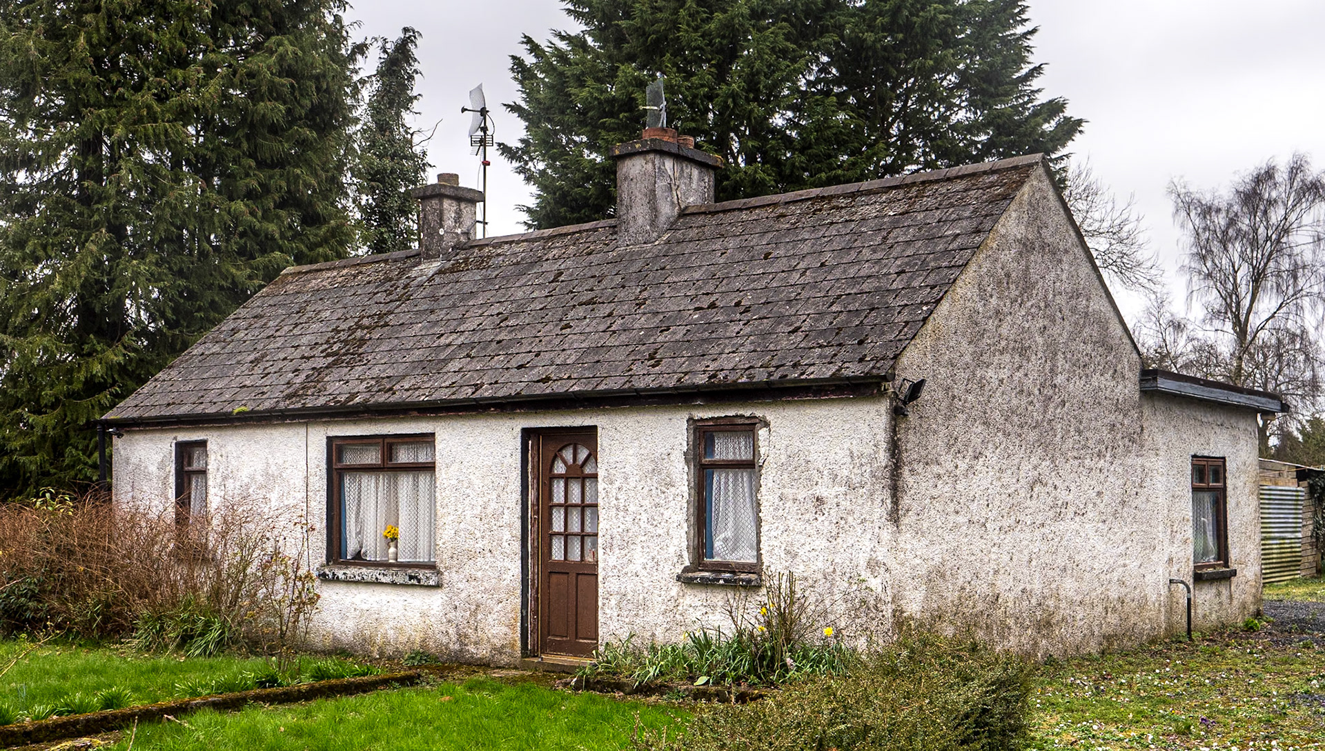 Near Lowtown, Co Kildare, 6 Mar 2024