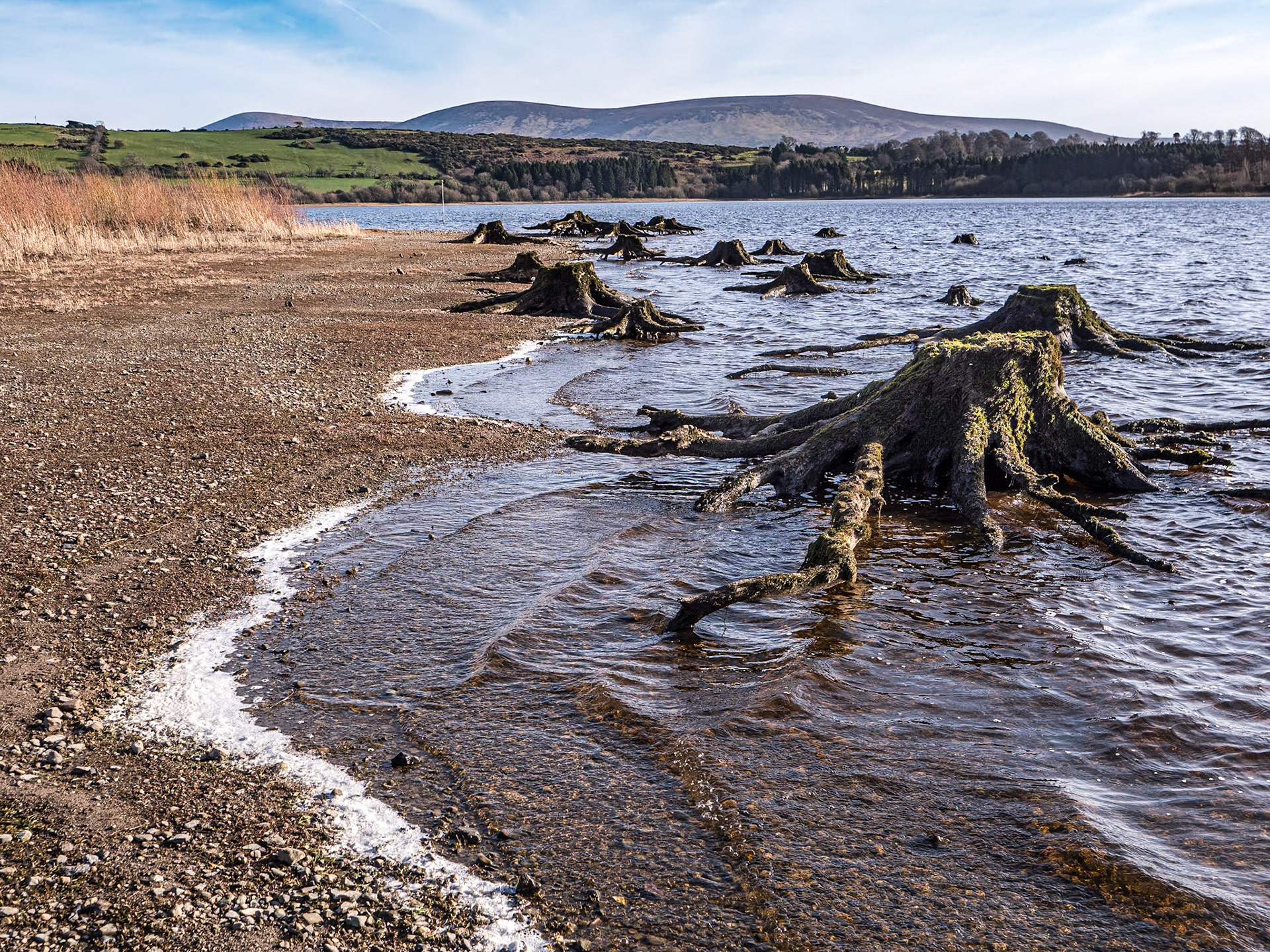 Blessington Lakes, Co Wicklow, 5 Feb 2023