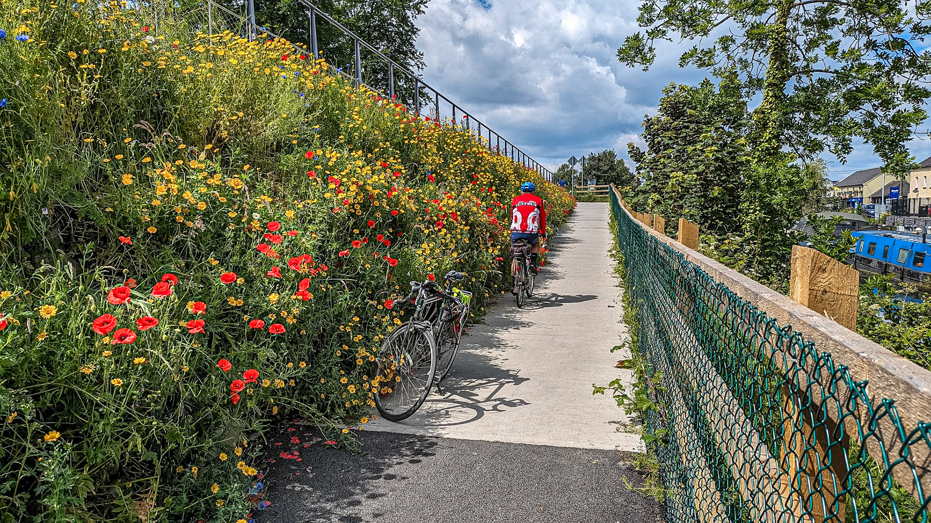 By the Grand Canal, Sallins, Co Kildare, 5 Jun 2024