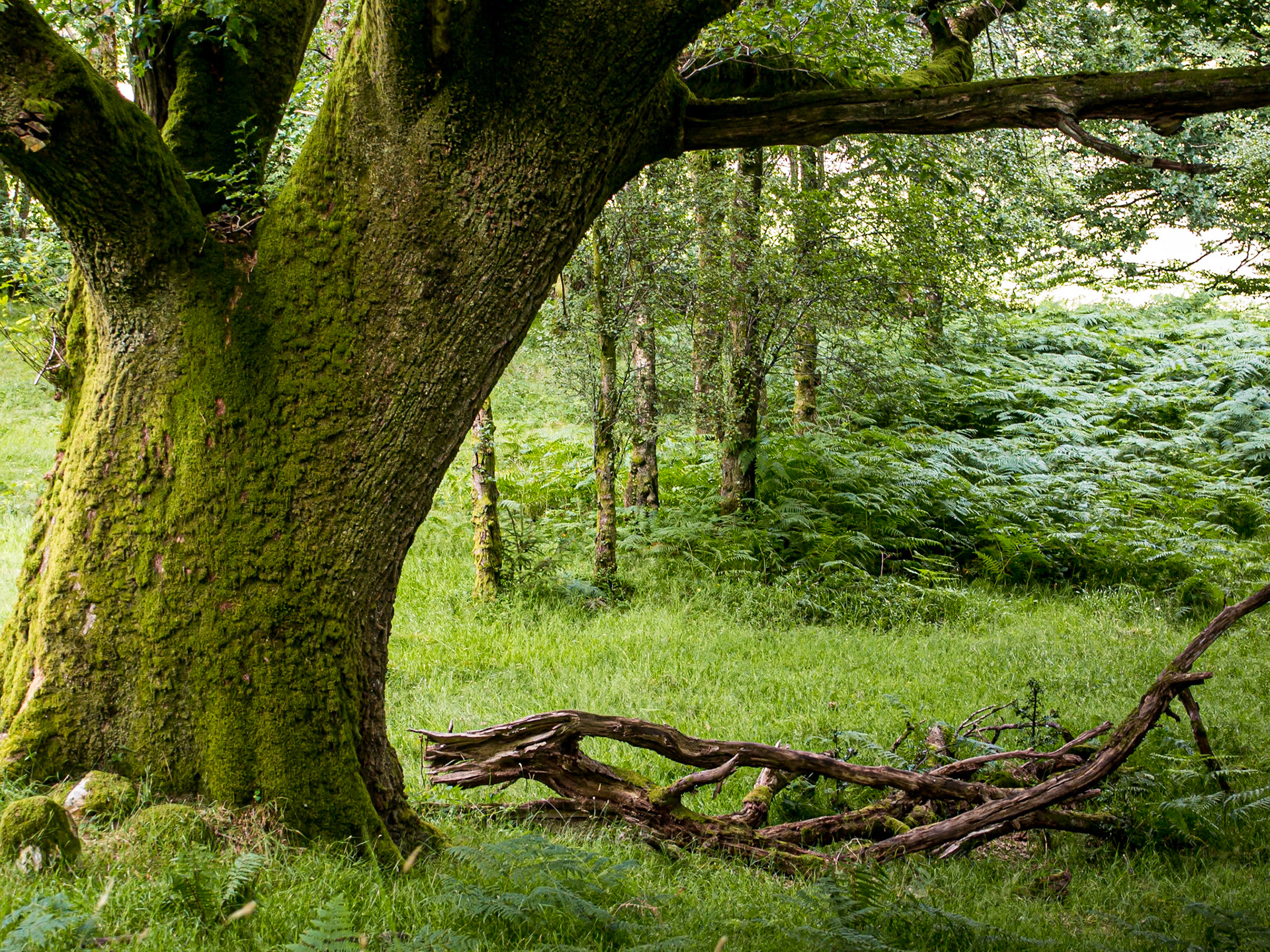 Glendalough, Co Wicklow, 11 Aug 2013